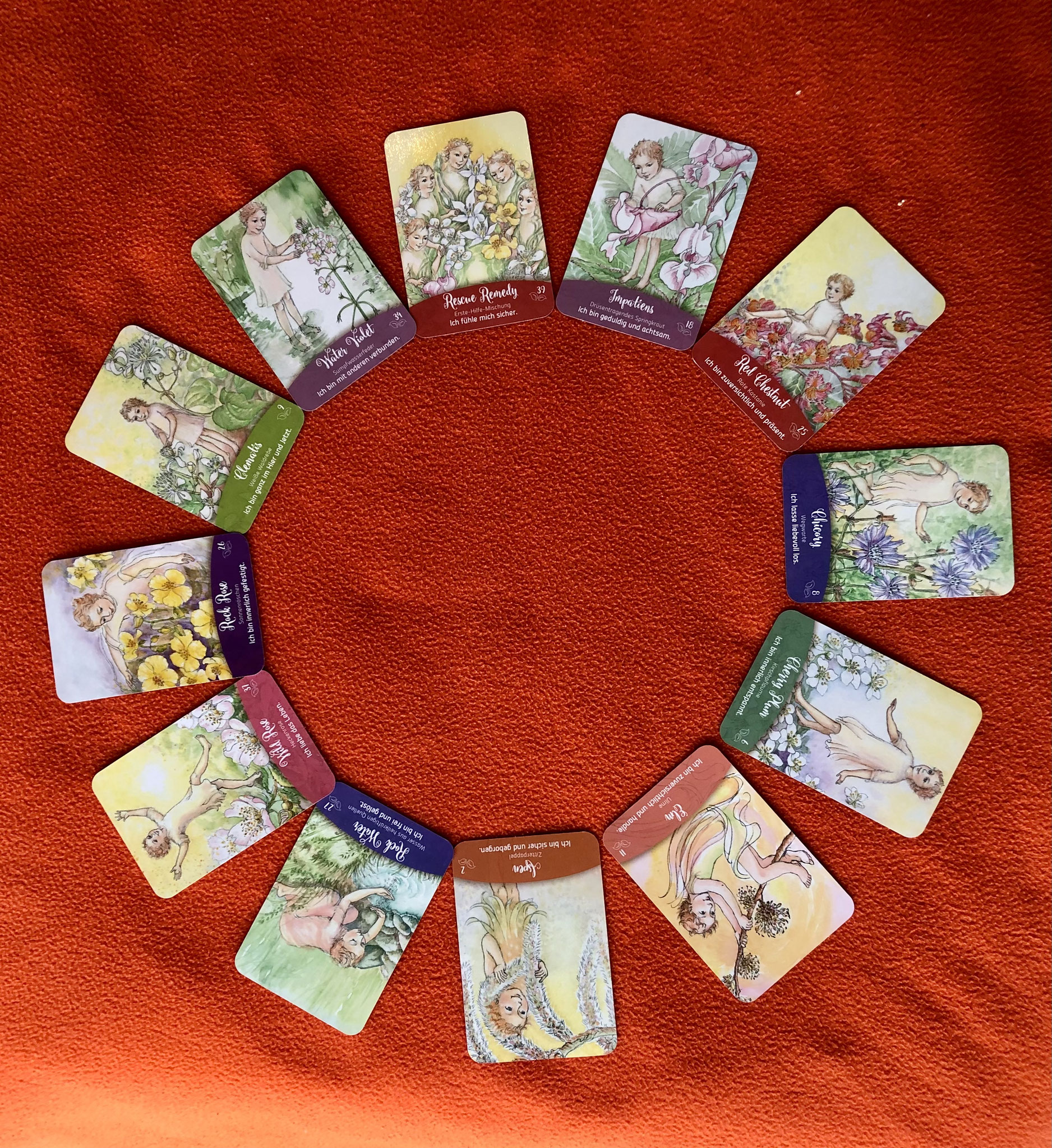 kinderfreundliche Bachblütenkarten
