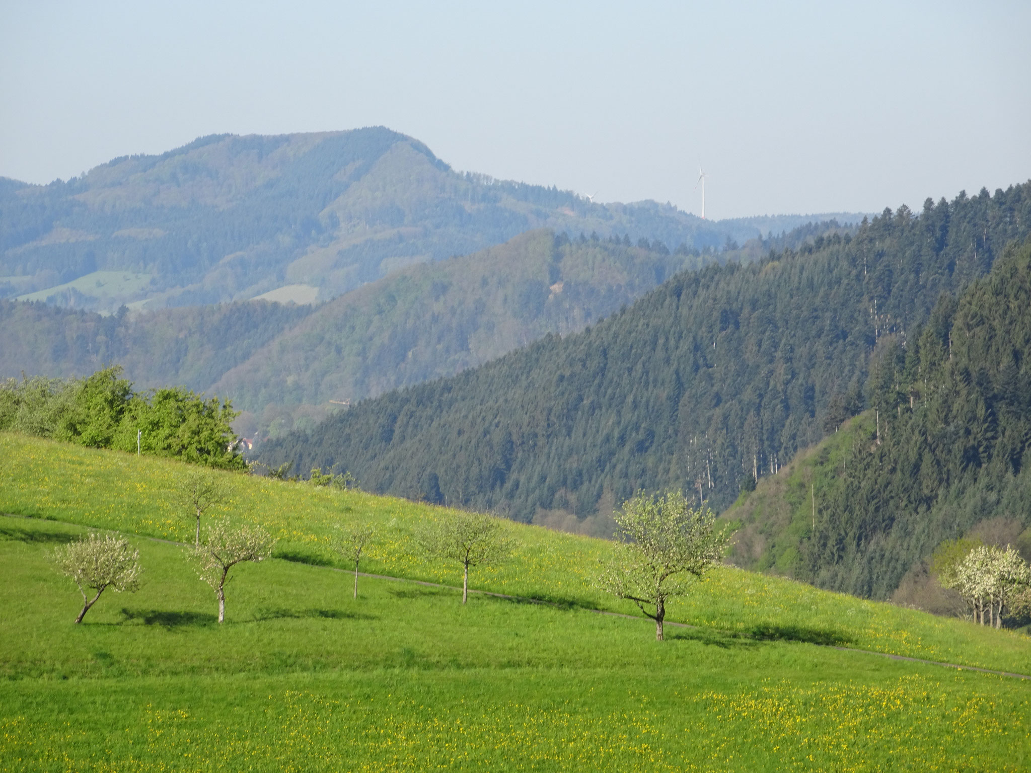 Herrliche Umgebung