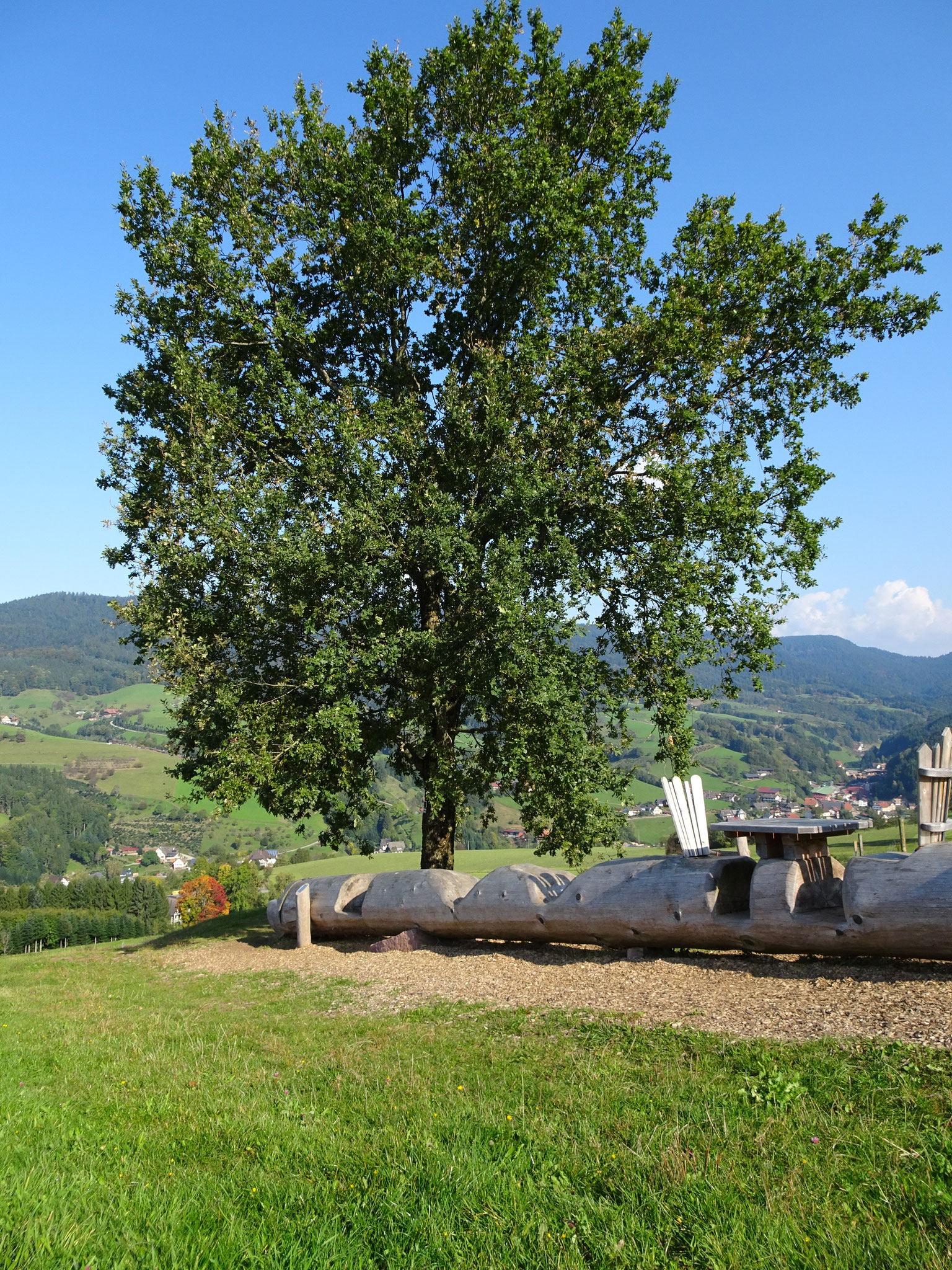 Vesperplatz mit grandioser Aussicht