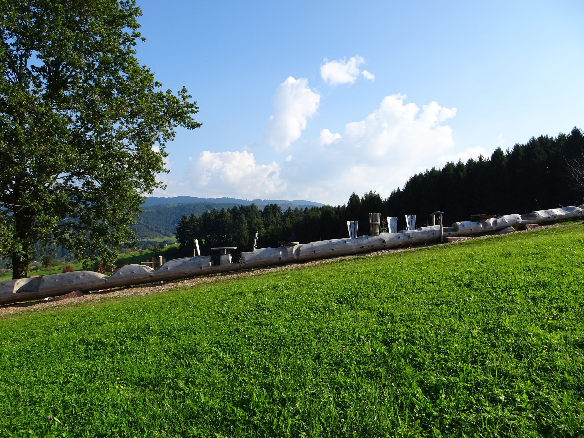 Harmersbacher Vesperweg Holzstamm als Vesperplatz