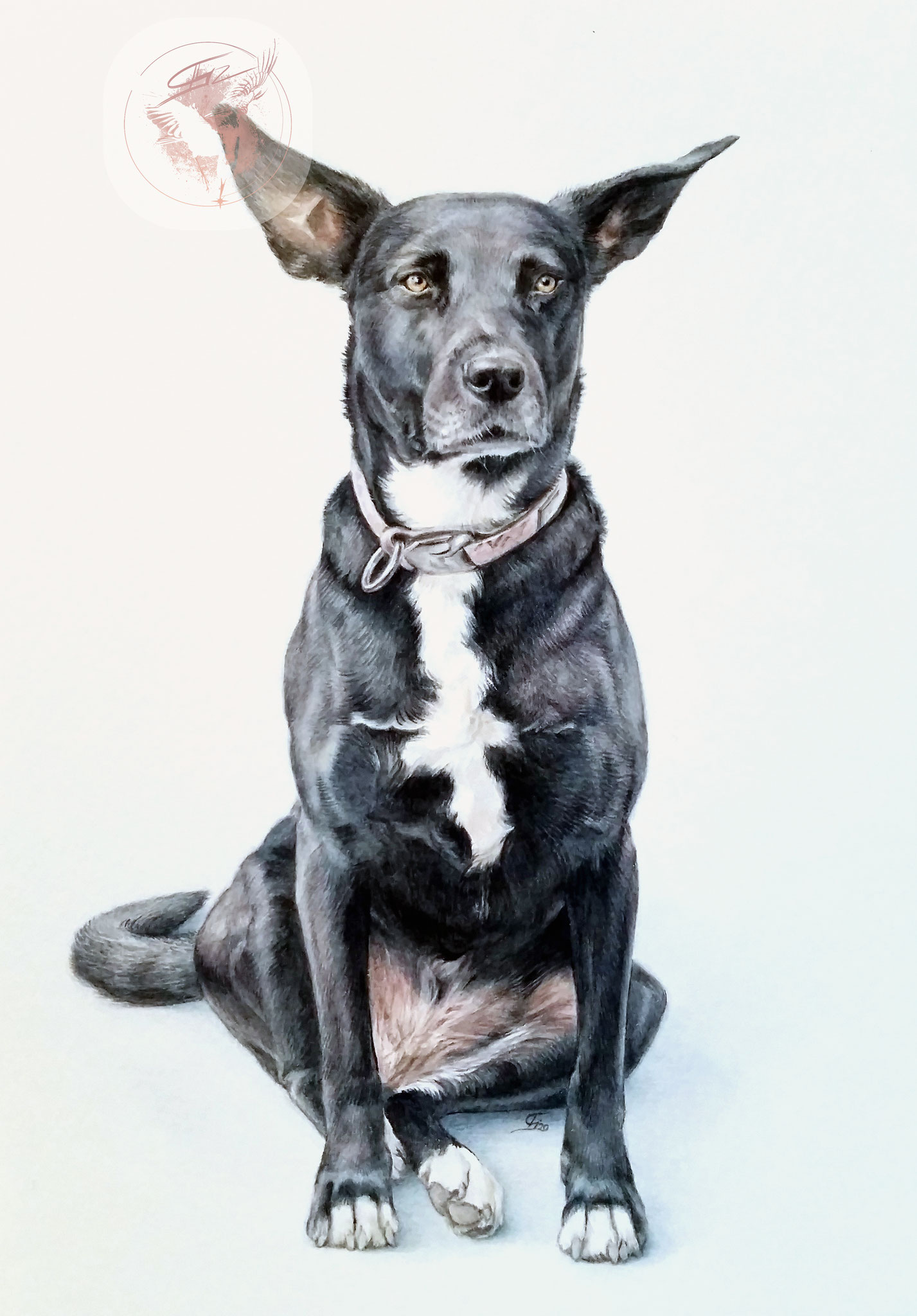 "Tatze", Aquarell, Auftragsmalerei