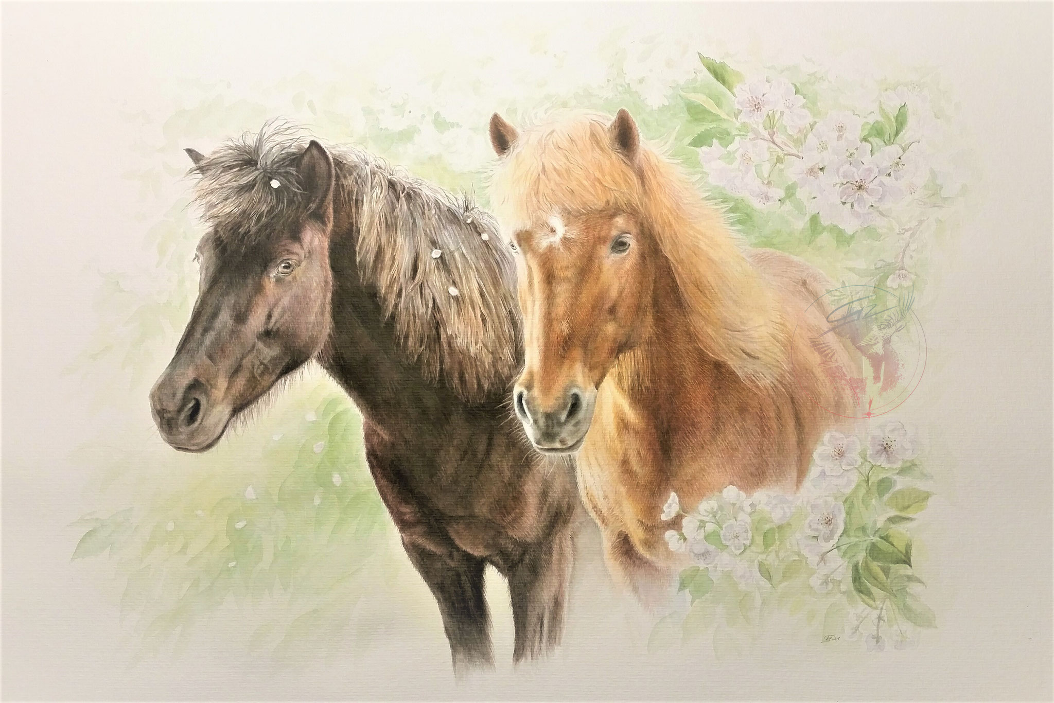 Erinnerung an die beiden Islandpferde "Hrönn und Frekja", Aquarell, Auftragsmalerei