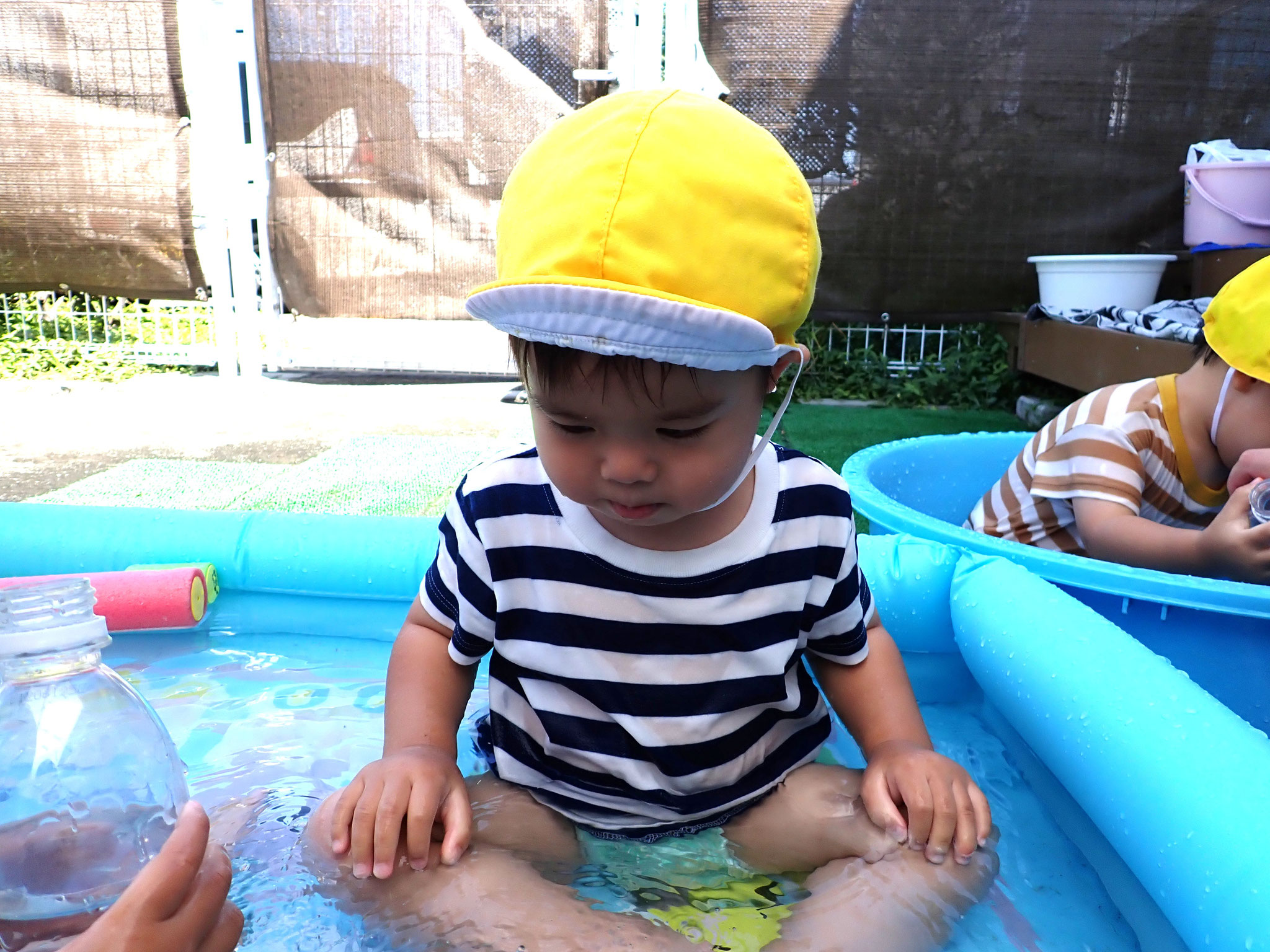 お水の中に何かいるかなぁ～？