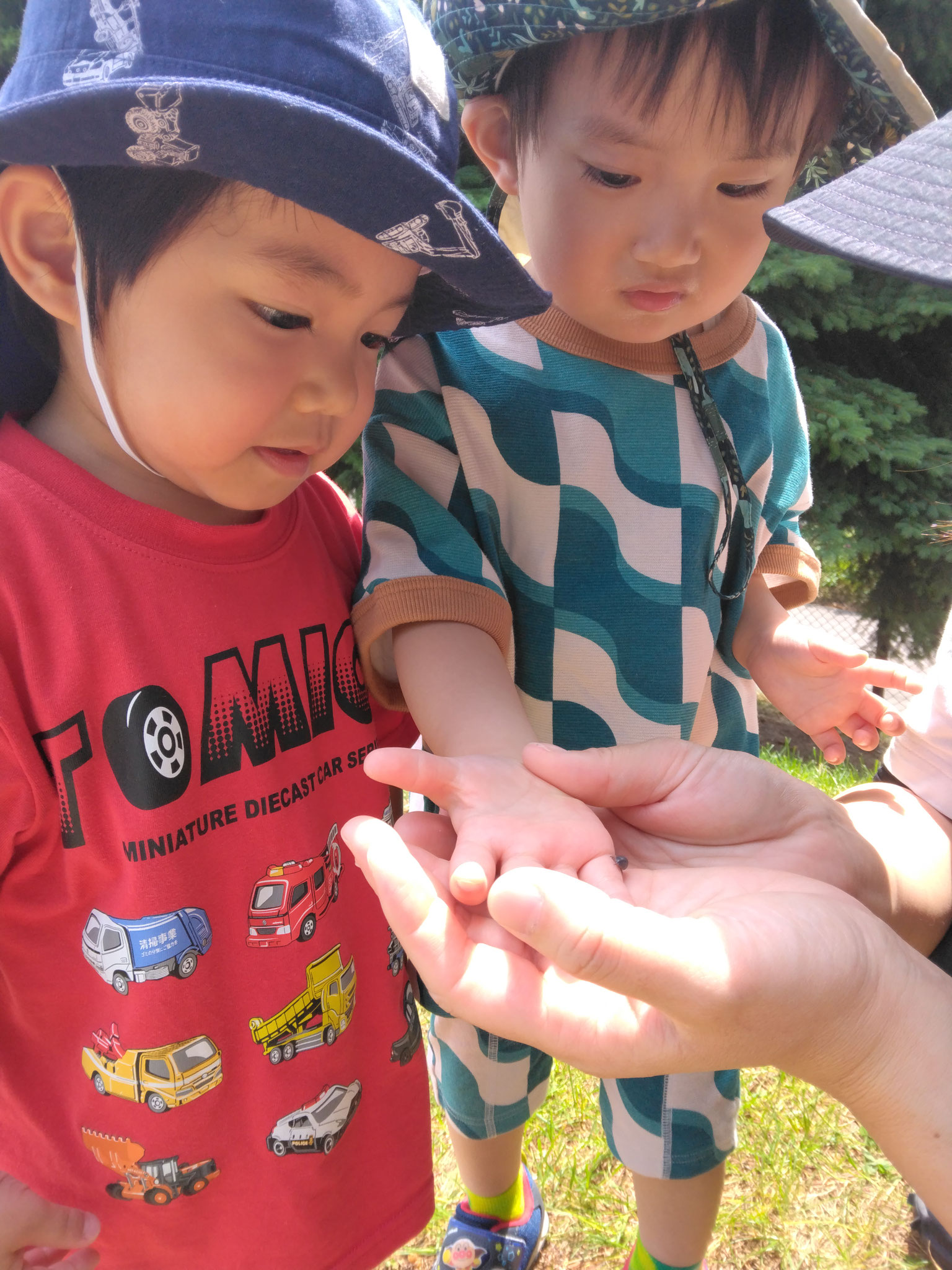 「僕の手にダンゴ虫が・・・」「す、、、すごいね・・・」
