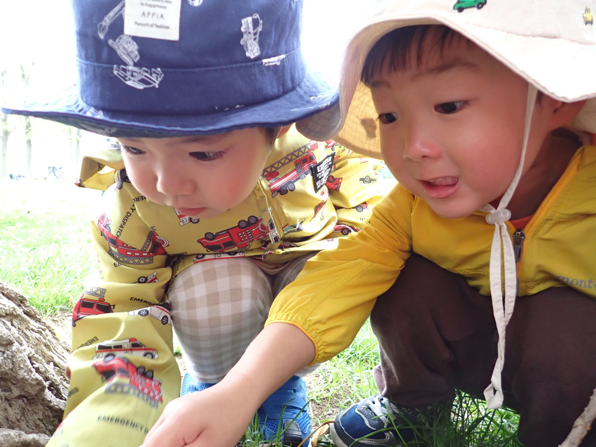 「虫探ししよう」「これは何だろう？」「うぉー！ミミズだぁー！」