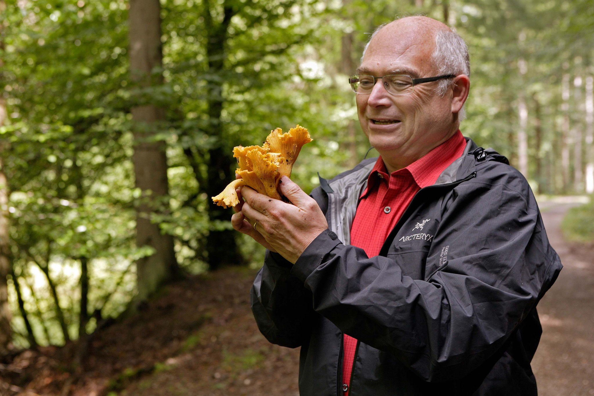 Autor mit Pfifferlingen