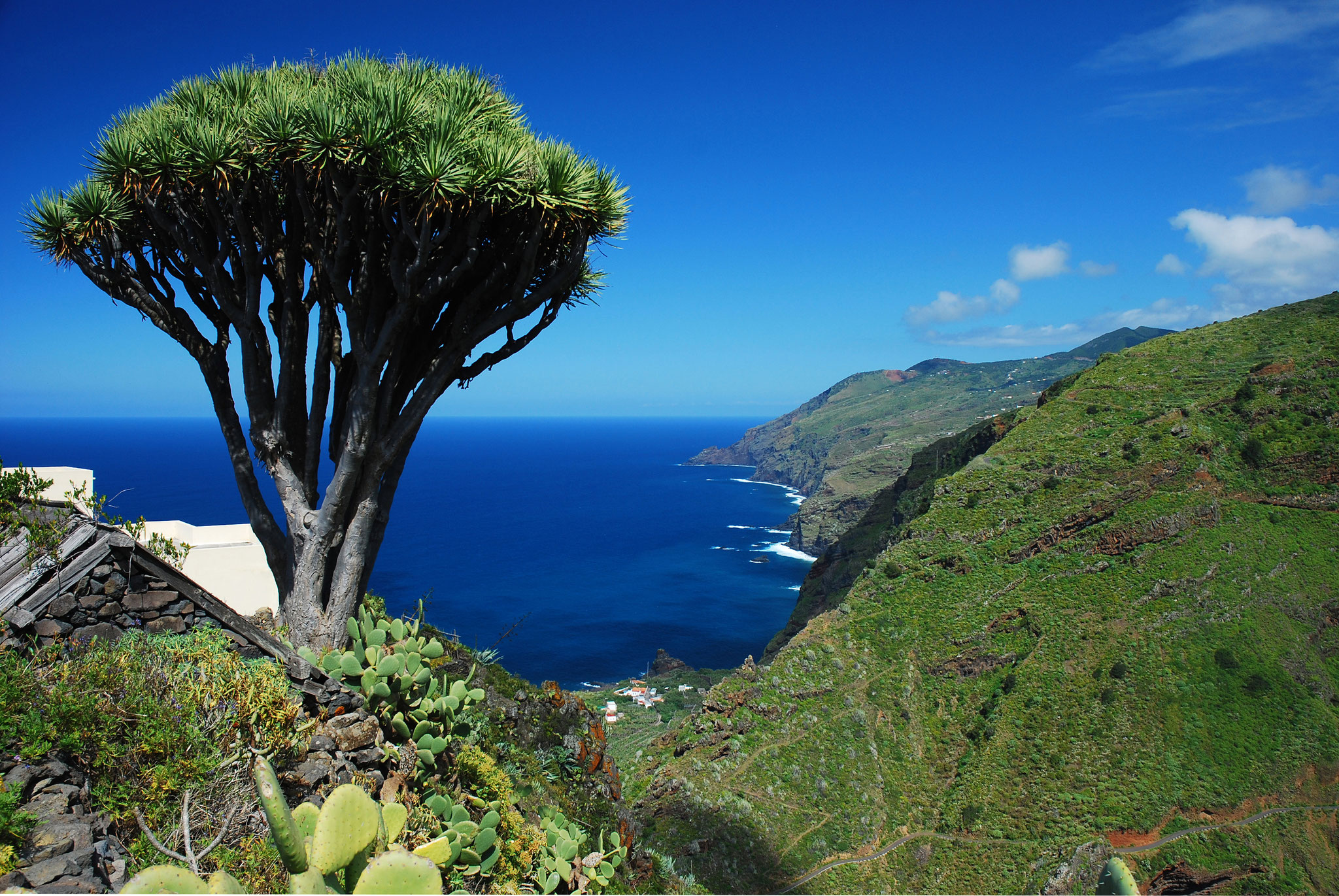 Blick auf Barlovento, La Palma