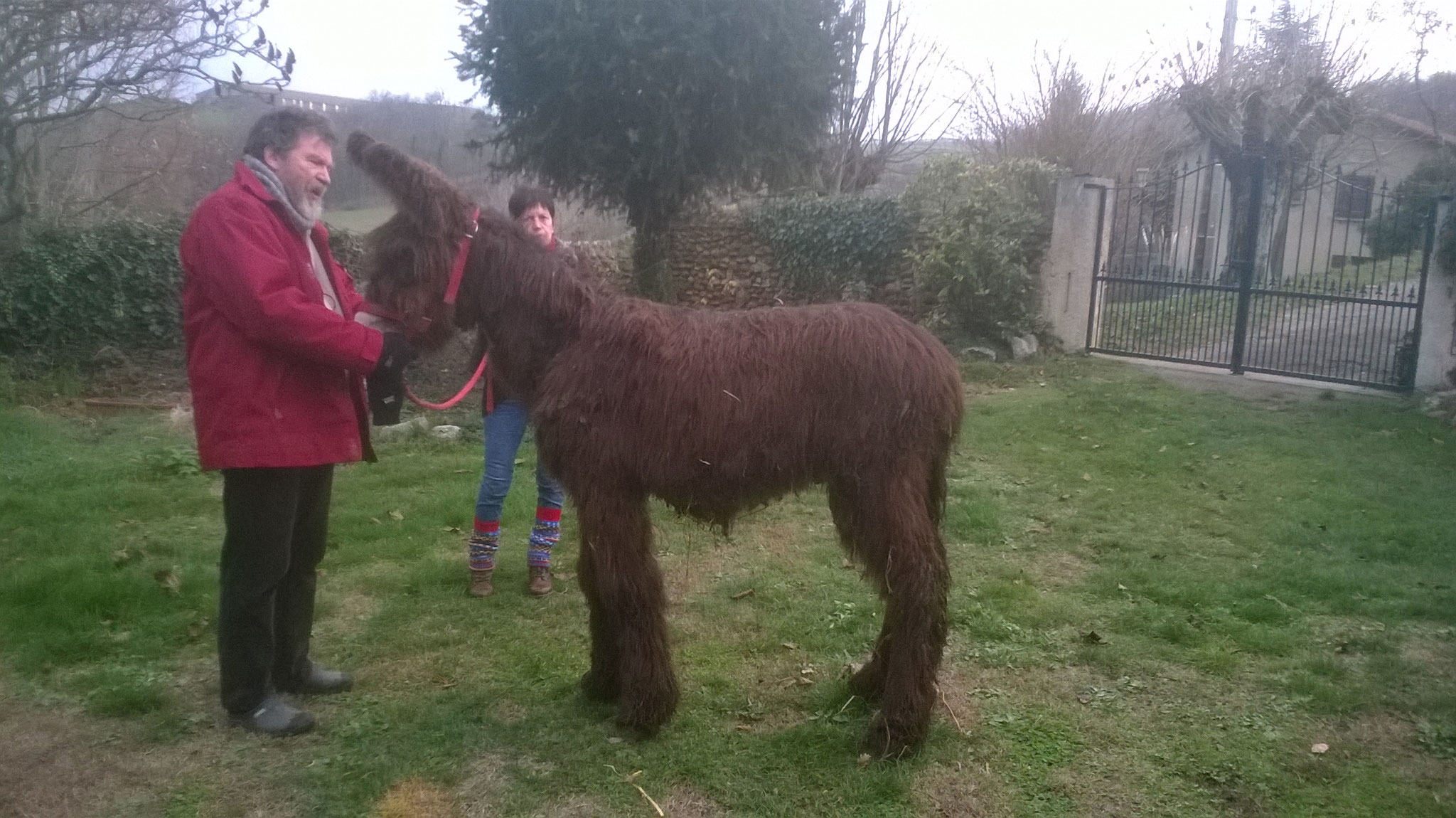 Bruno et Icare