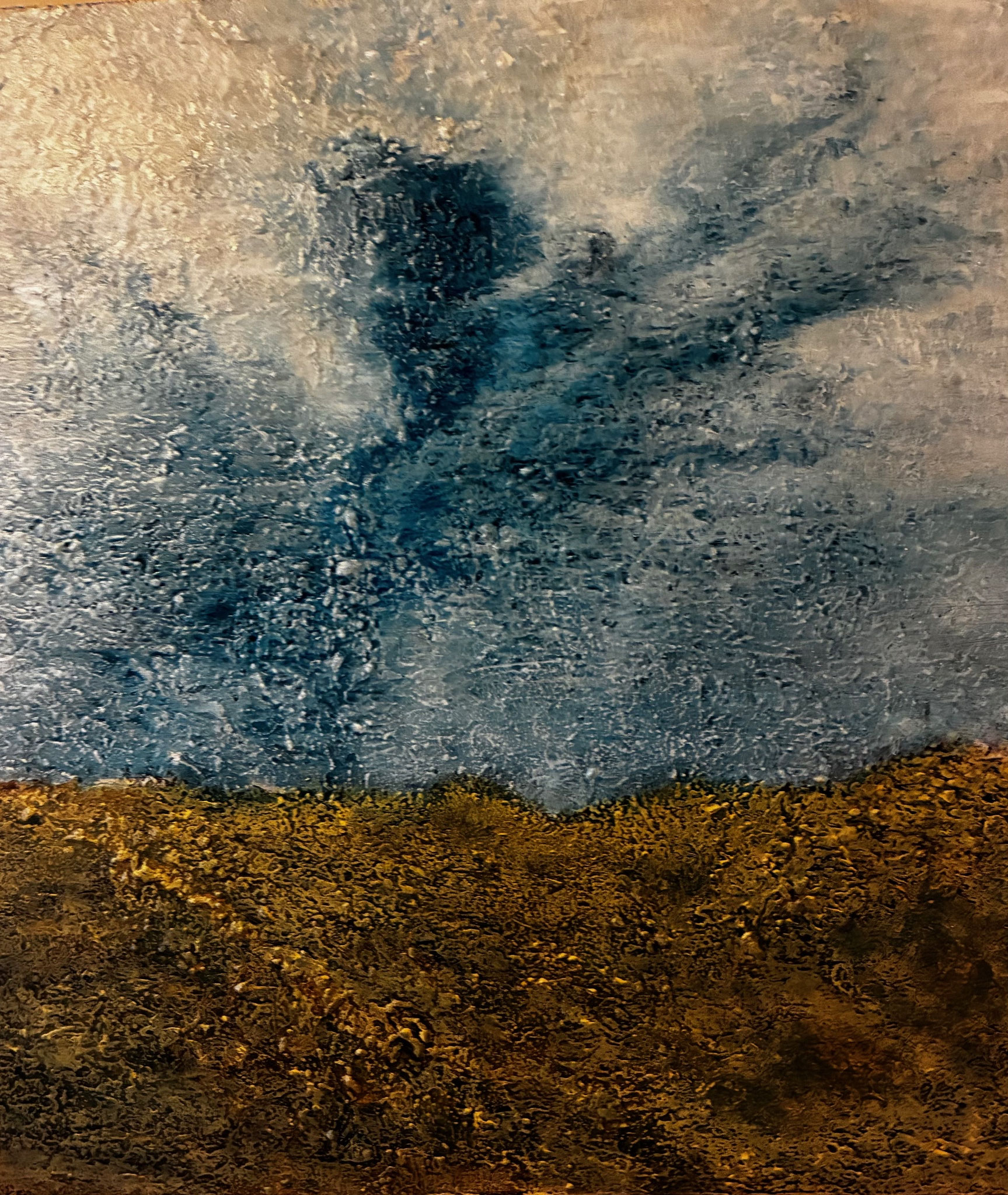 Aly van der Woude