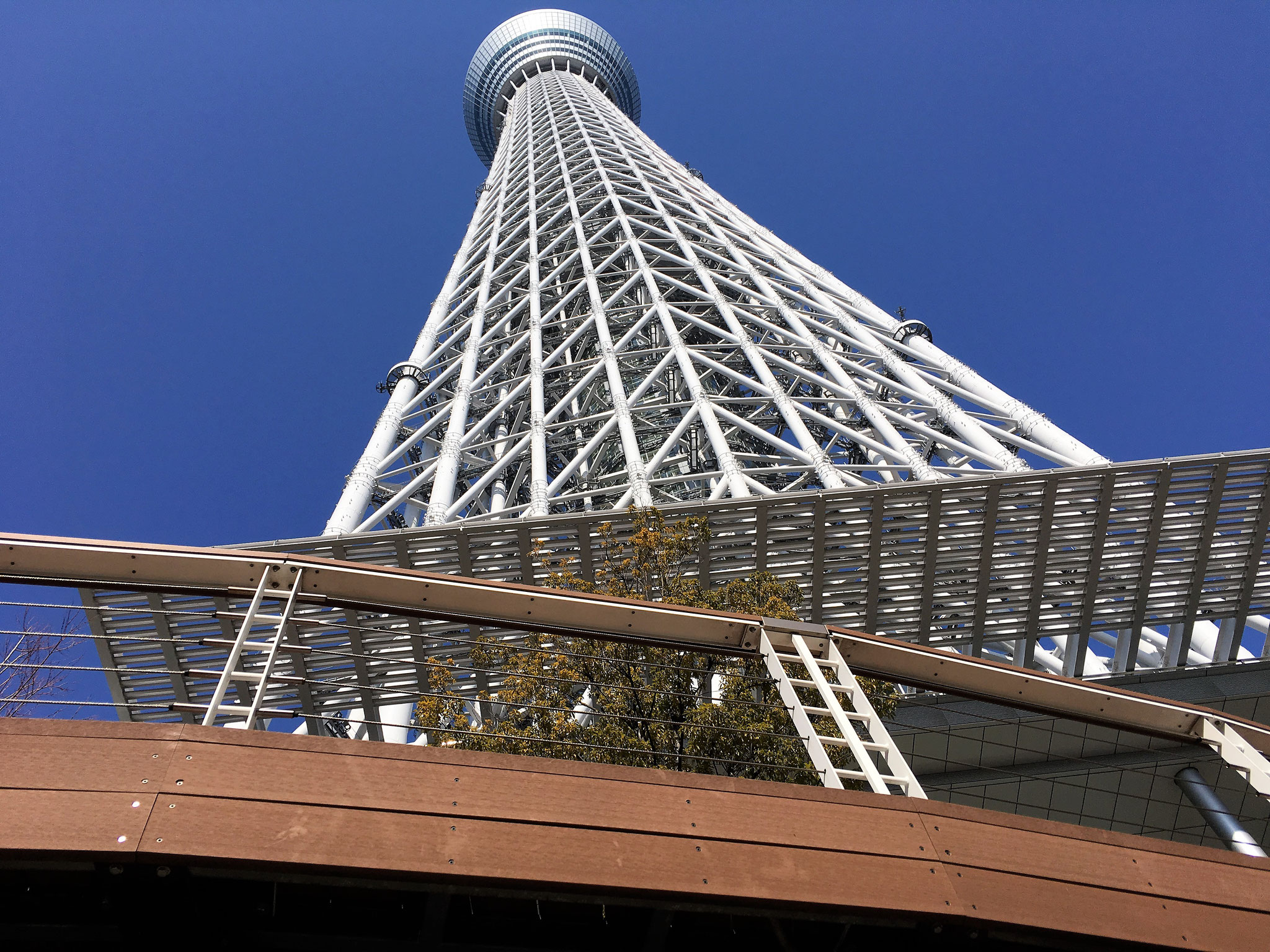 ワイヤー式手摺・防護柵 「ワイヤーテンドN」東京スカイツリー ワイヤー式手摺・防護柵 「ワイヤーテンドN」東京スカイツリー