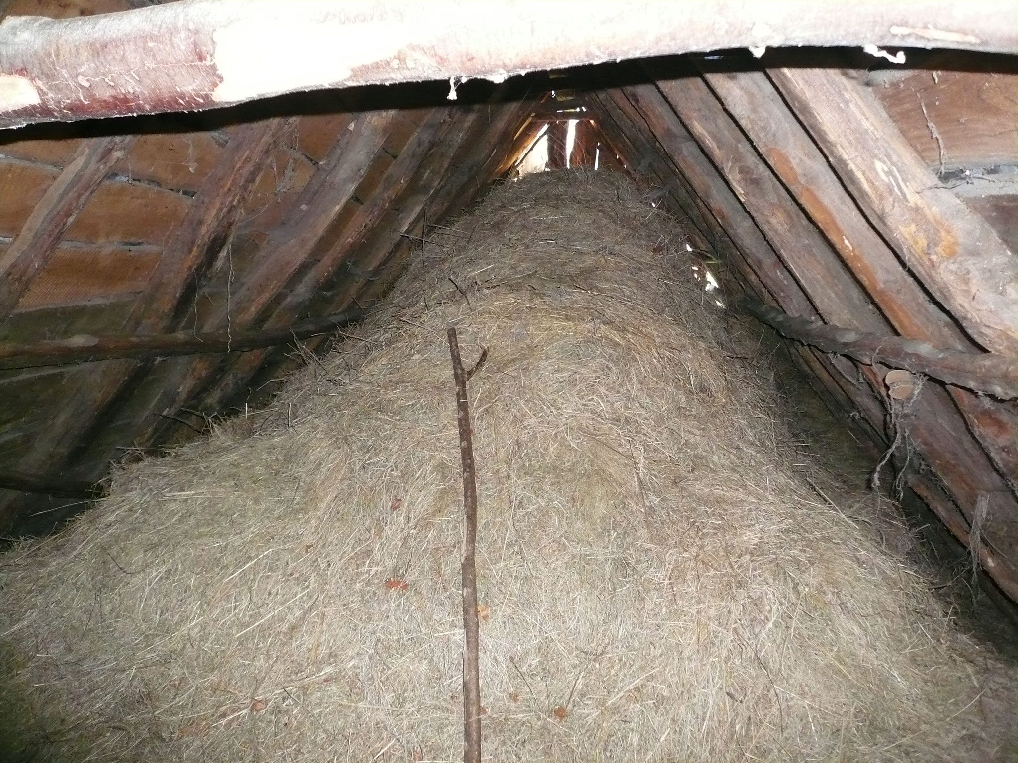 Charpente et espace (clède) recevant le foin en vrac