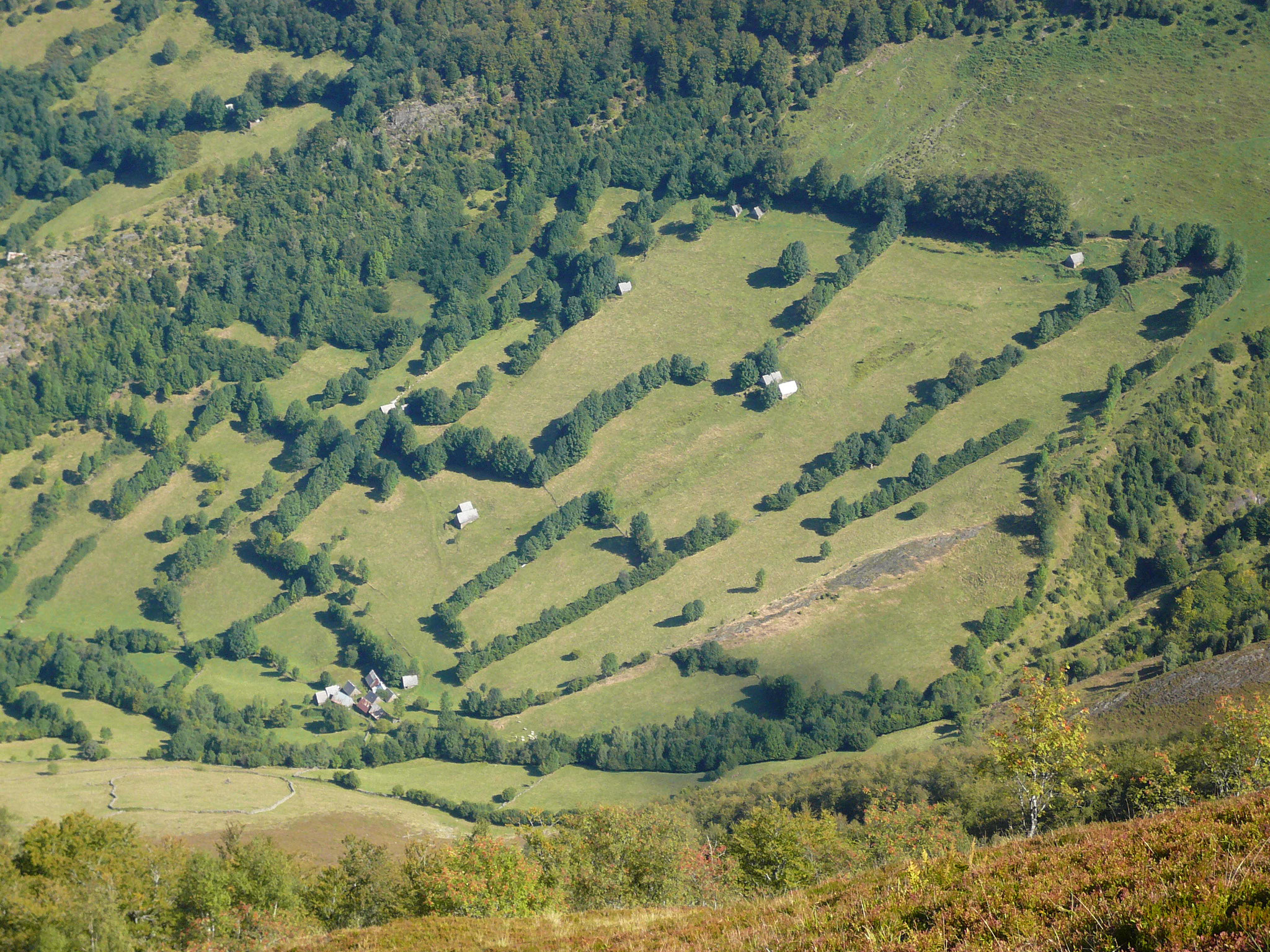 Prairies et répartition des granges pour le foin