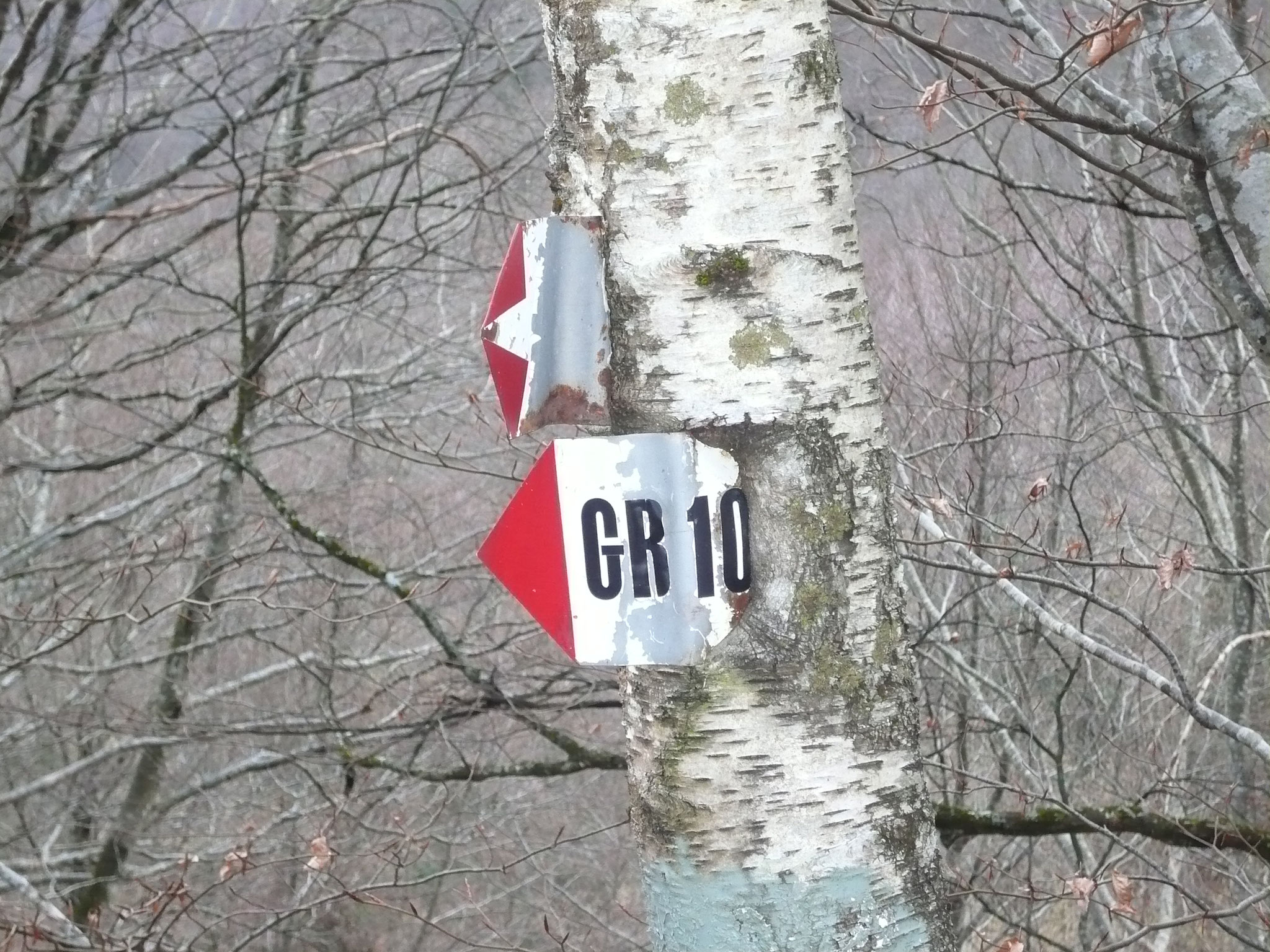 Un sentier qui a de l’âge