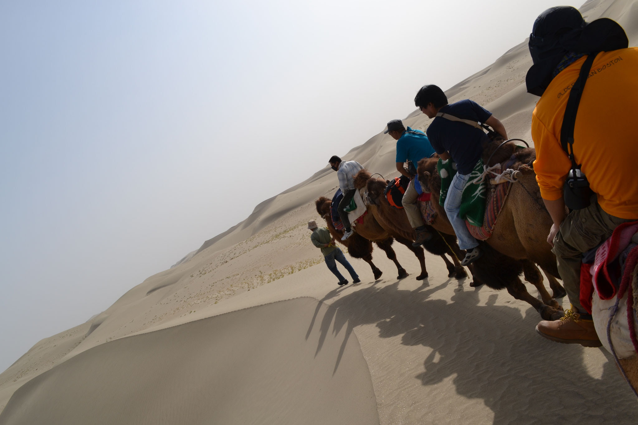 タクラマカン砂漠をラクダで旅する4日間 旅の漫遊