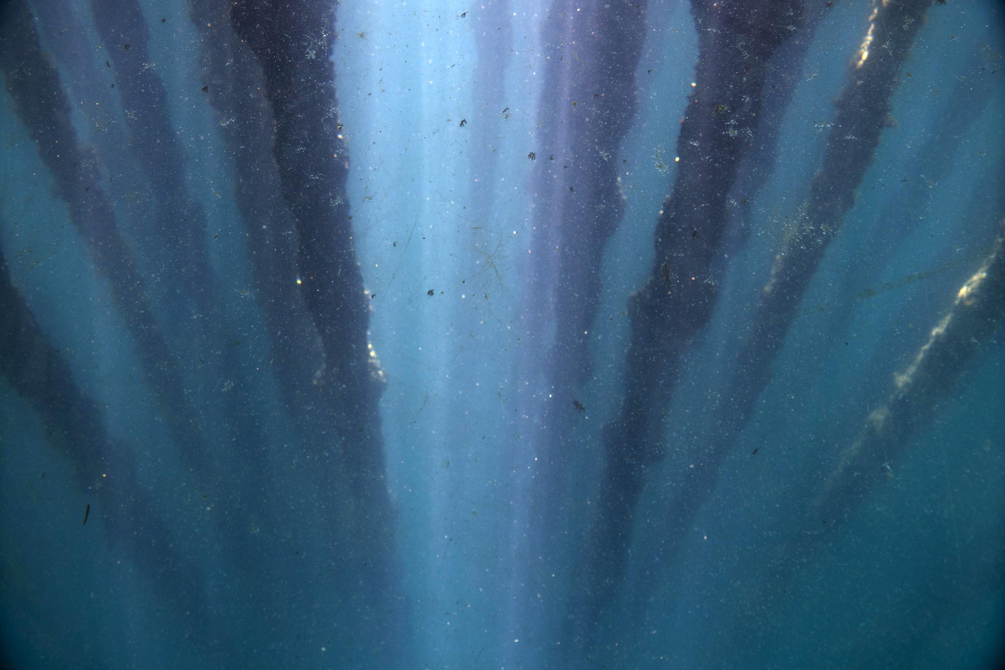 Unterwasser-Perspektive