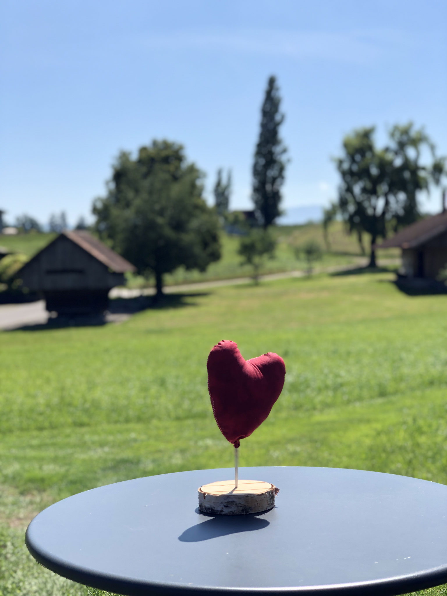 Gartenkaffee / Sitzgelegenheit