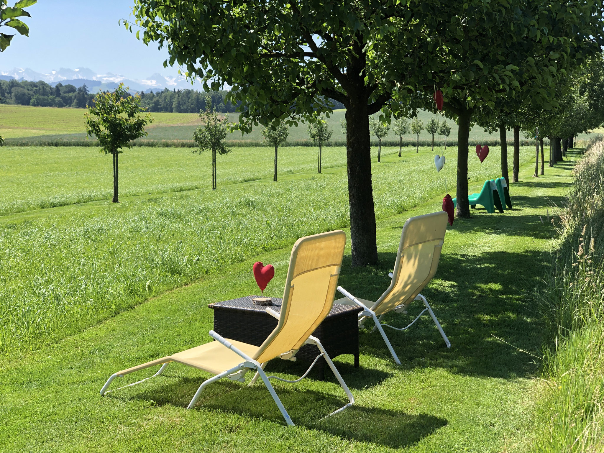 Gartenkaffee / Sitzgelegenheit