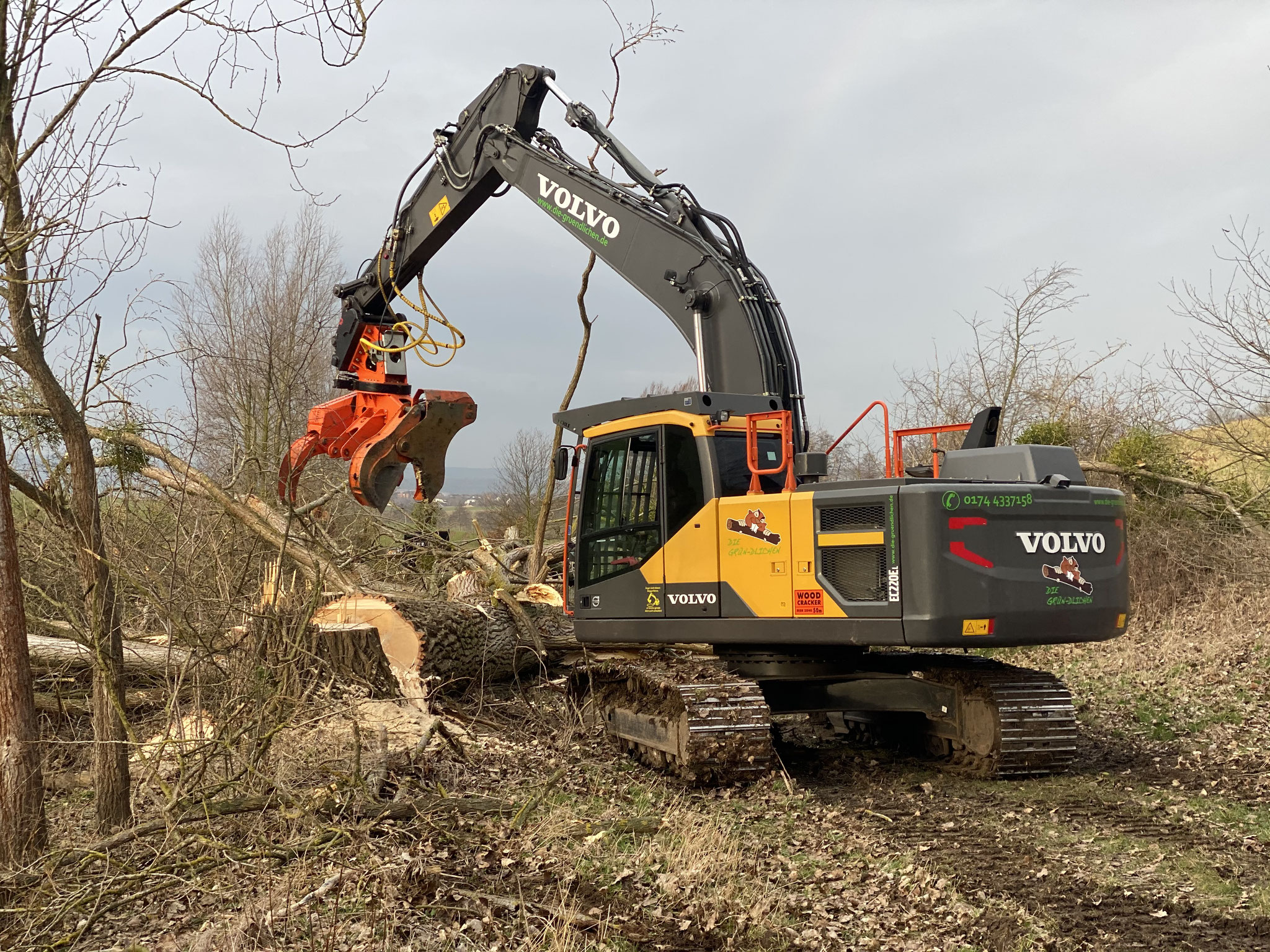 26t Kettenbagger mit Baumschere 