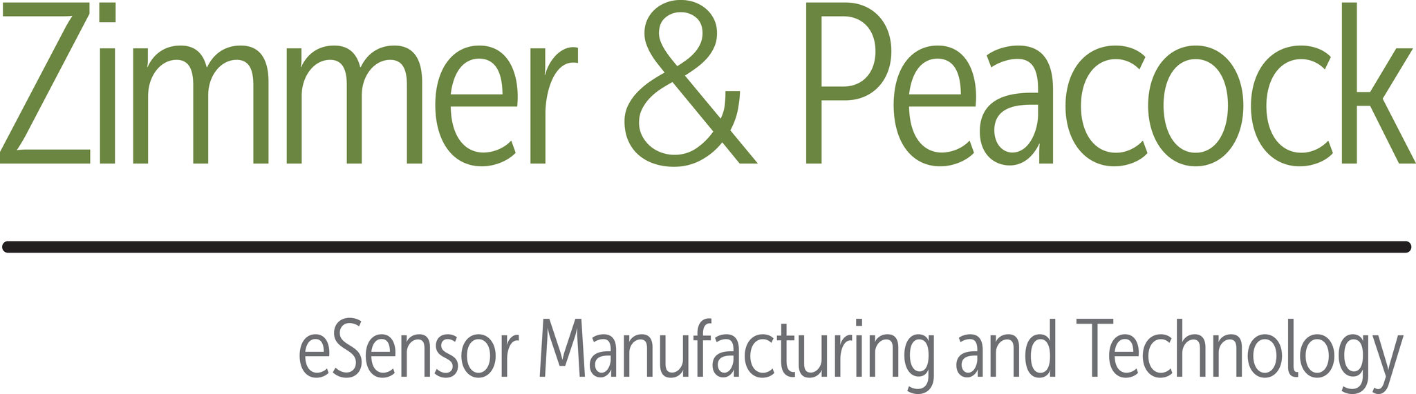 Cambridge University Electrochemical Masterclasses zimmerandpeacock