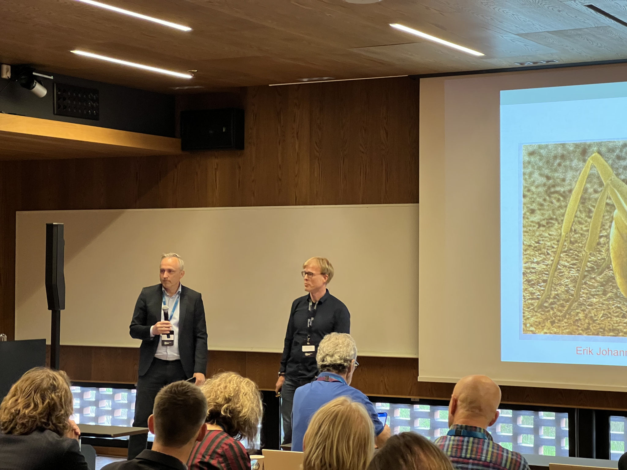 ZP Sensor Decade zimmerandpeacock