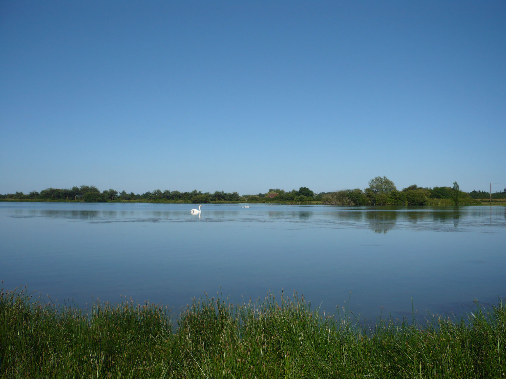 Etang de la Chevrollerie