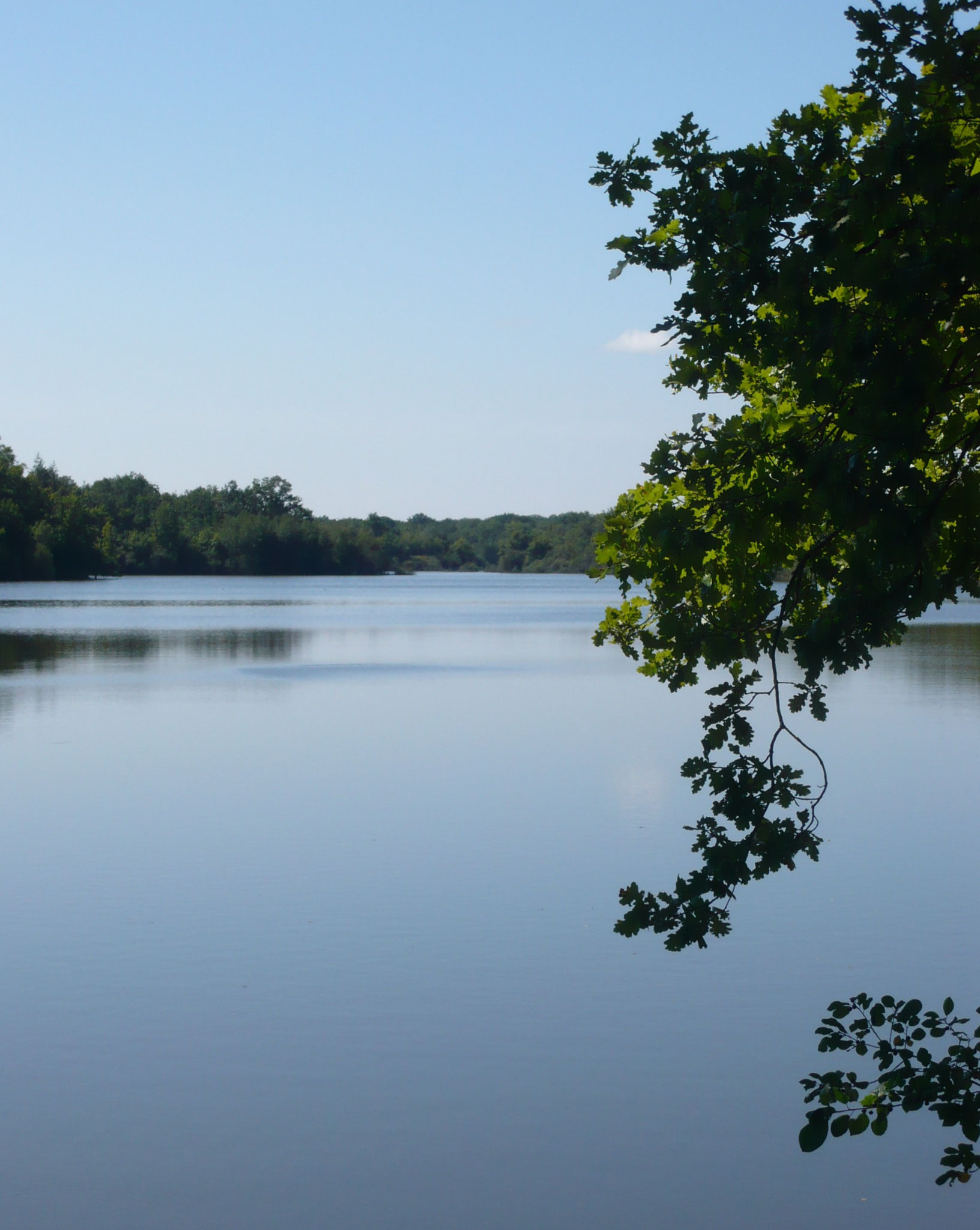 Etang près de St Viâtre