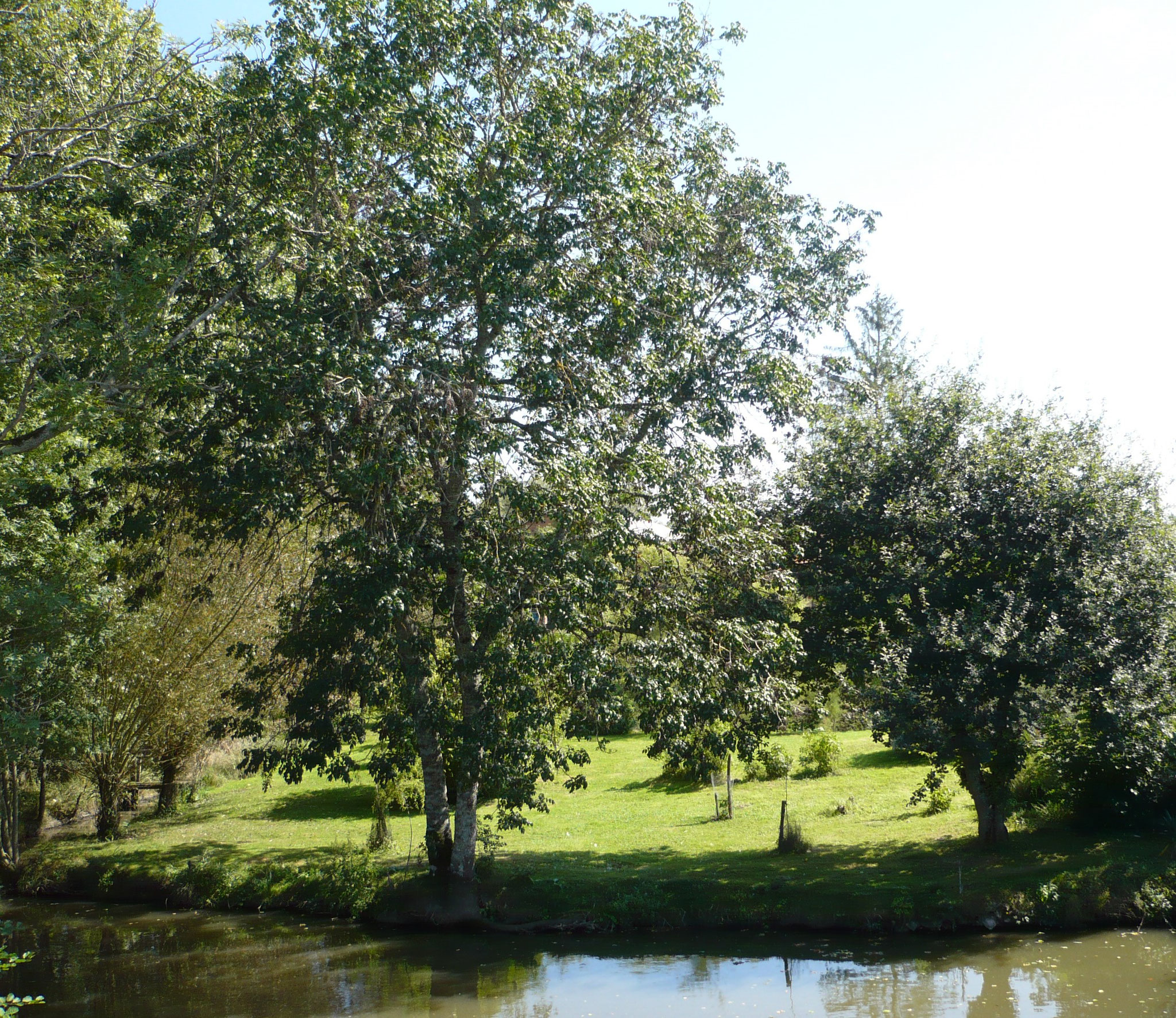 "En Sologne"