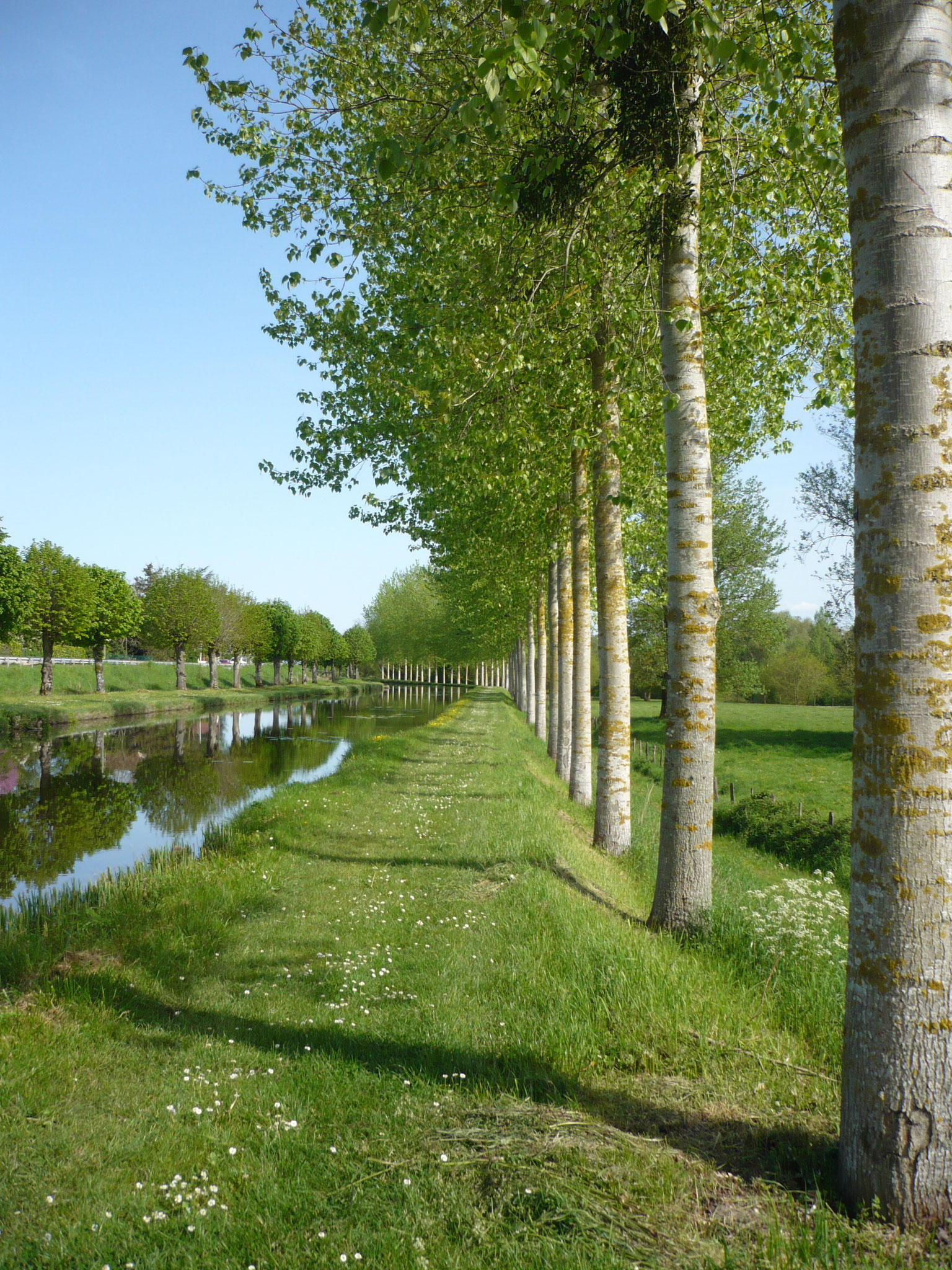 Vallée du Cher