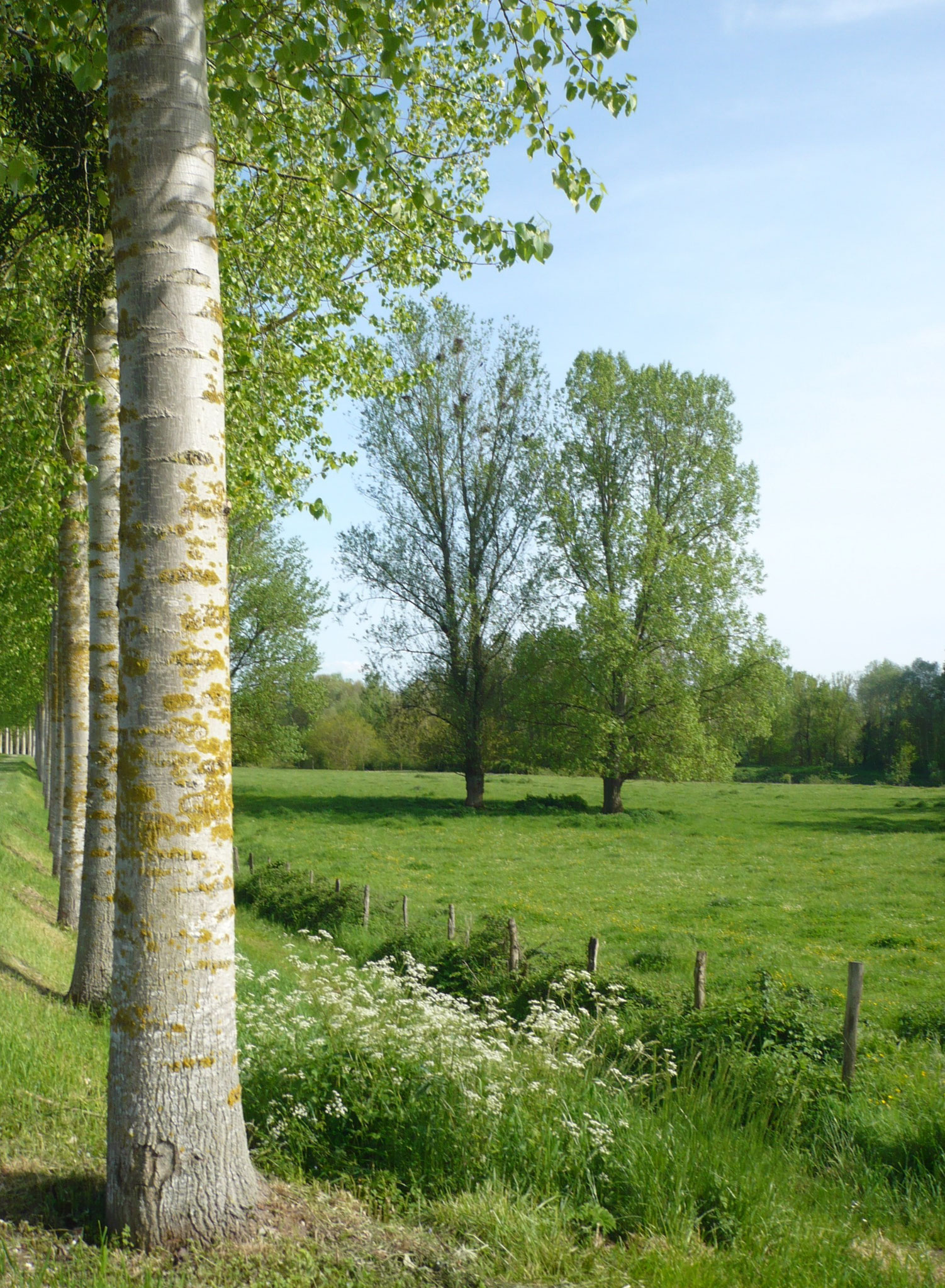 Vallée du Cher