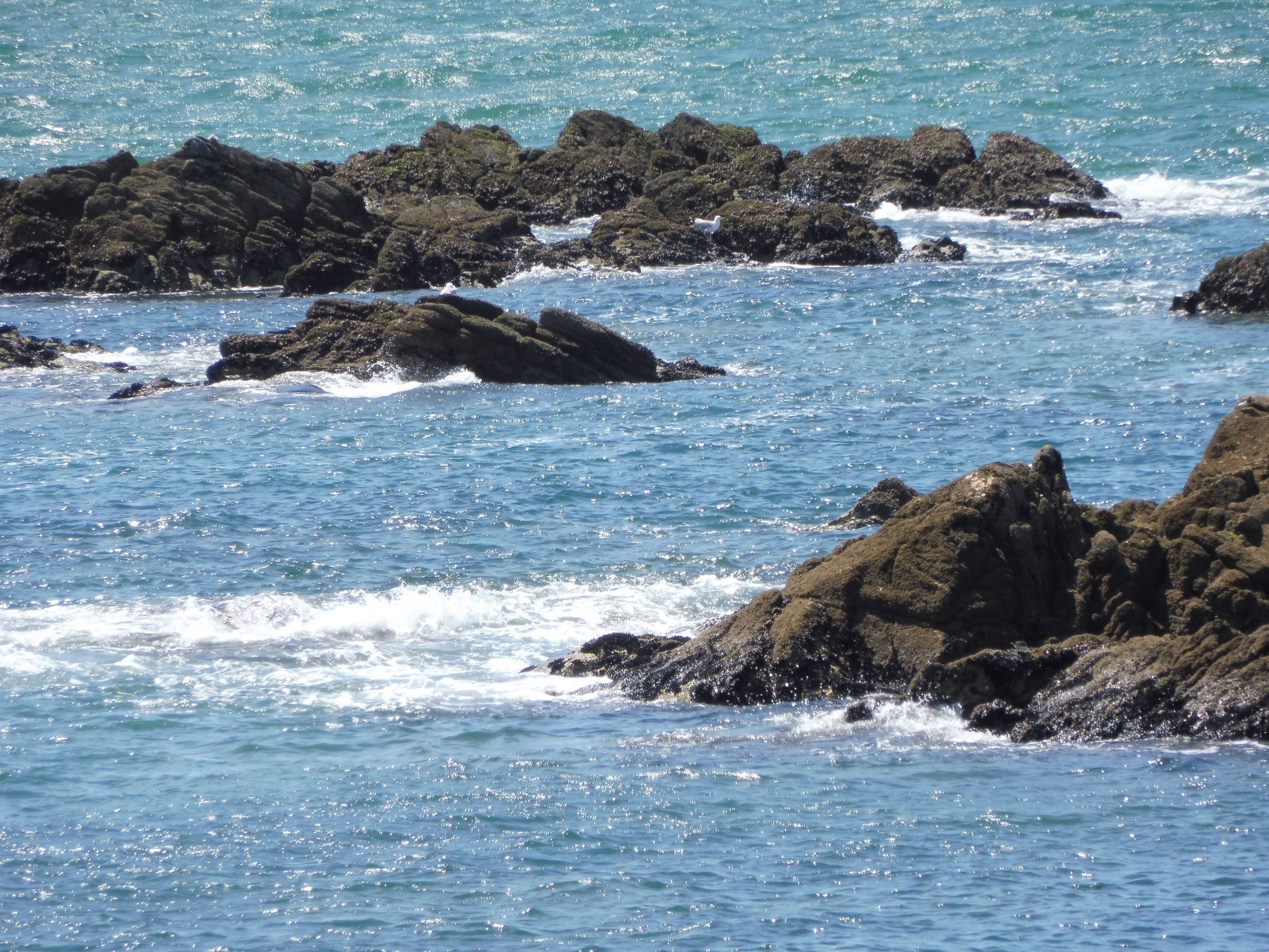 La côte sauvage