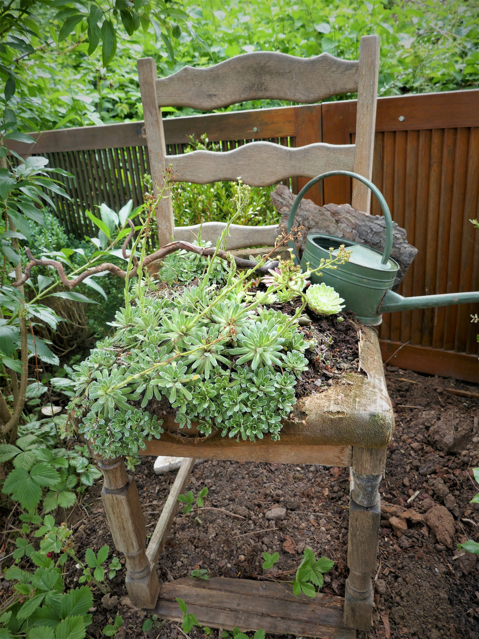 Gartenimpressionen