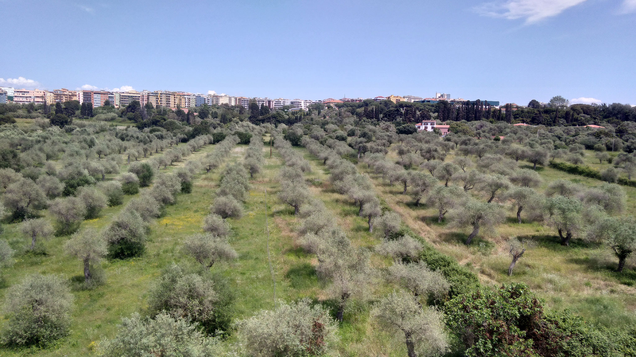 Visuale Sassari Nord- Ovest