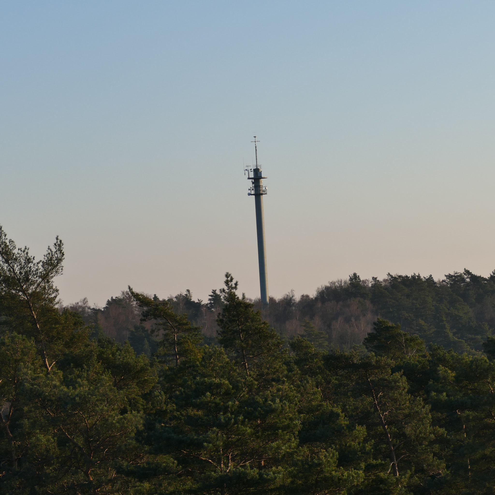 Blick vom Feuerwachtturm