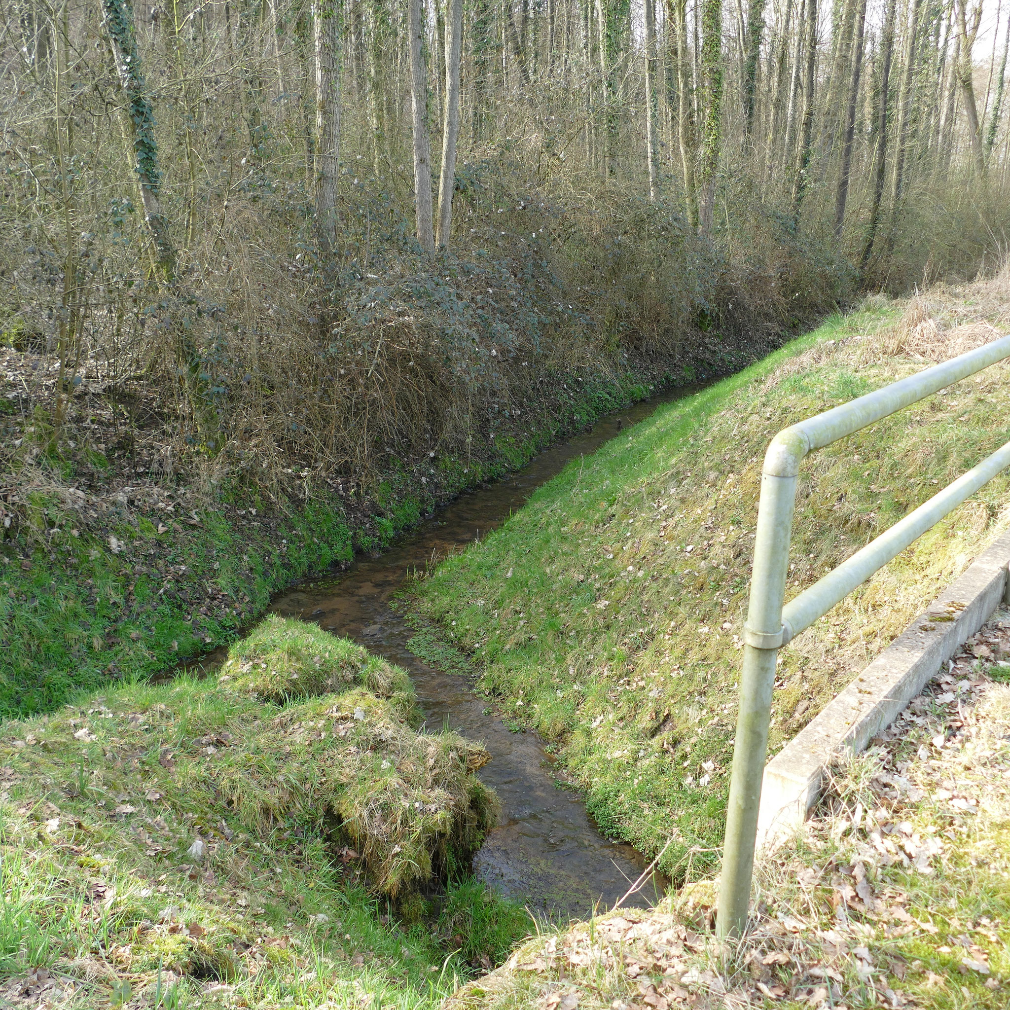 Fischaufstiegstreppe Töggingsmühleteich