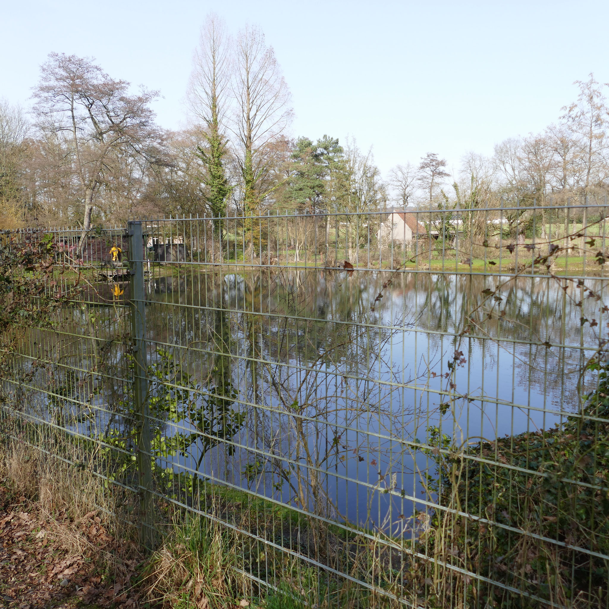 Töggingsmühleteich