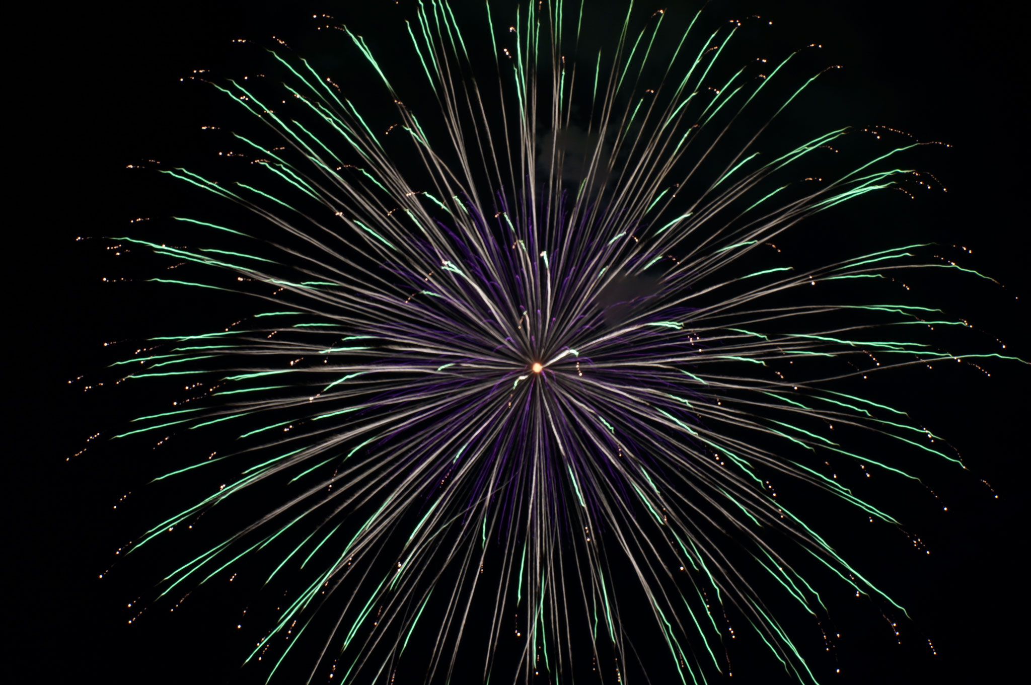 16年度 安倍川花火大会納涼例会 静岡橘ライオンズクラブ ホームページ ブログ