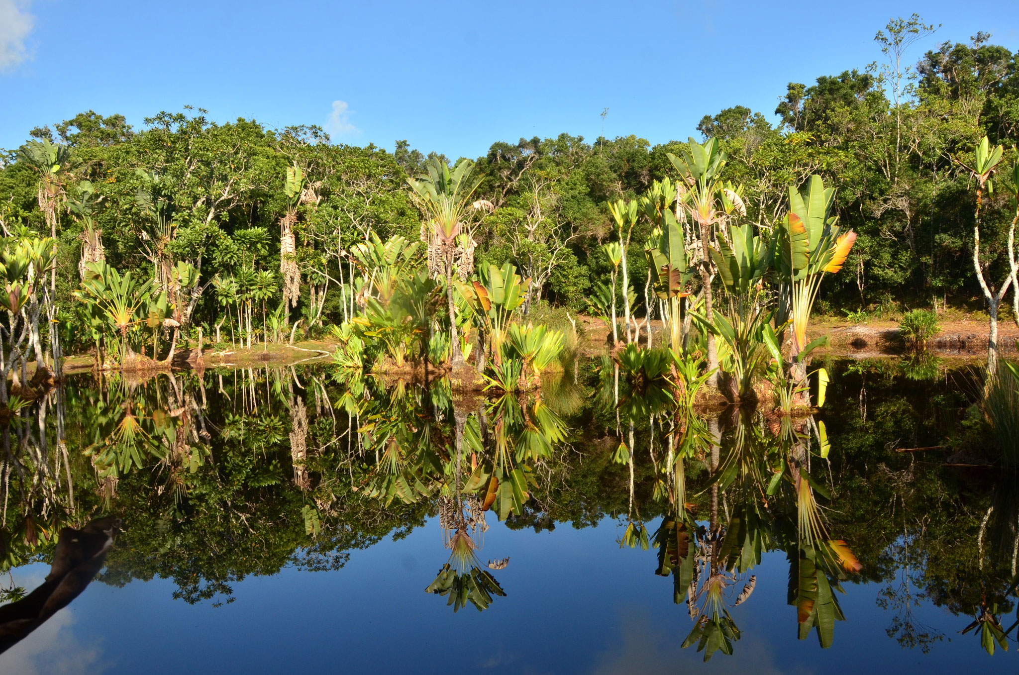 Reflets dans un petit lac malgache