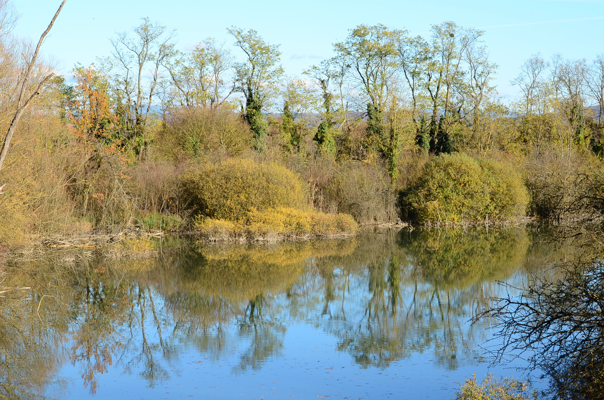 Etang miroir