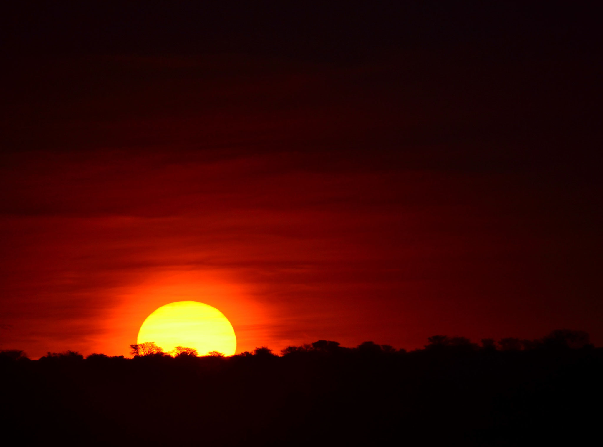 Derniers feux du couchant au désert (Kalahari, Namibie)  Octobre 2016