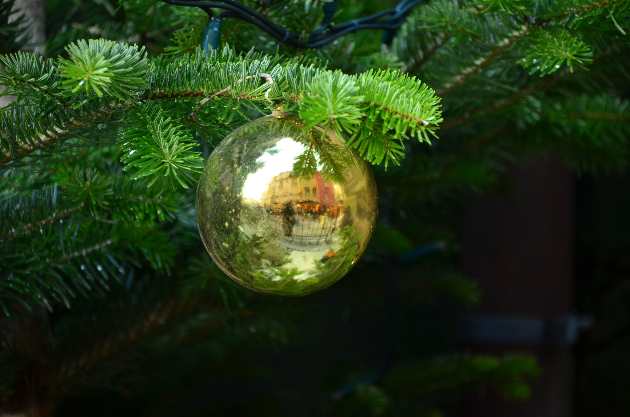 Reflets dans une boule de Noël