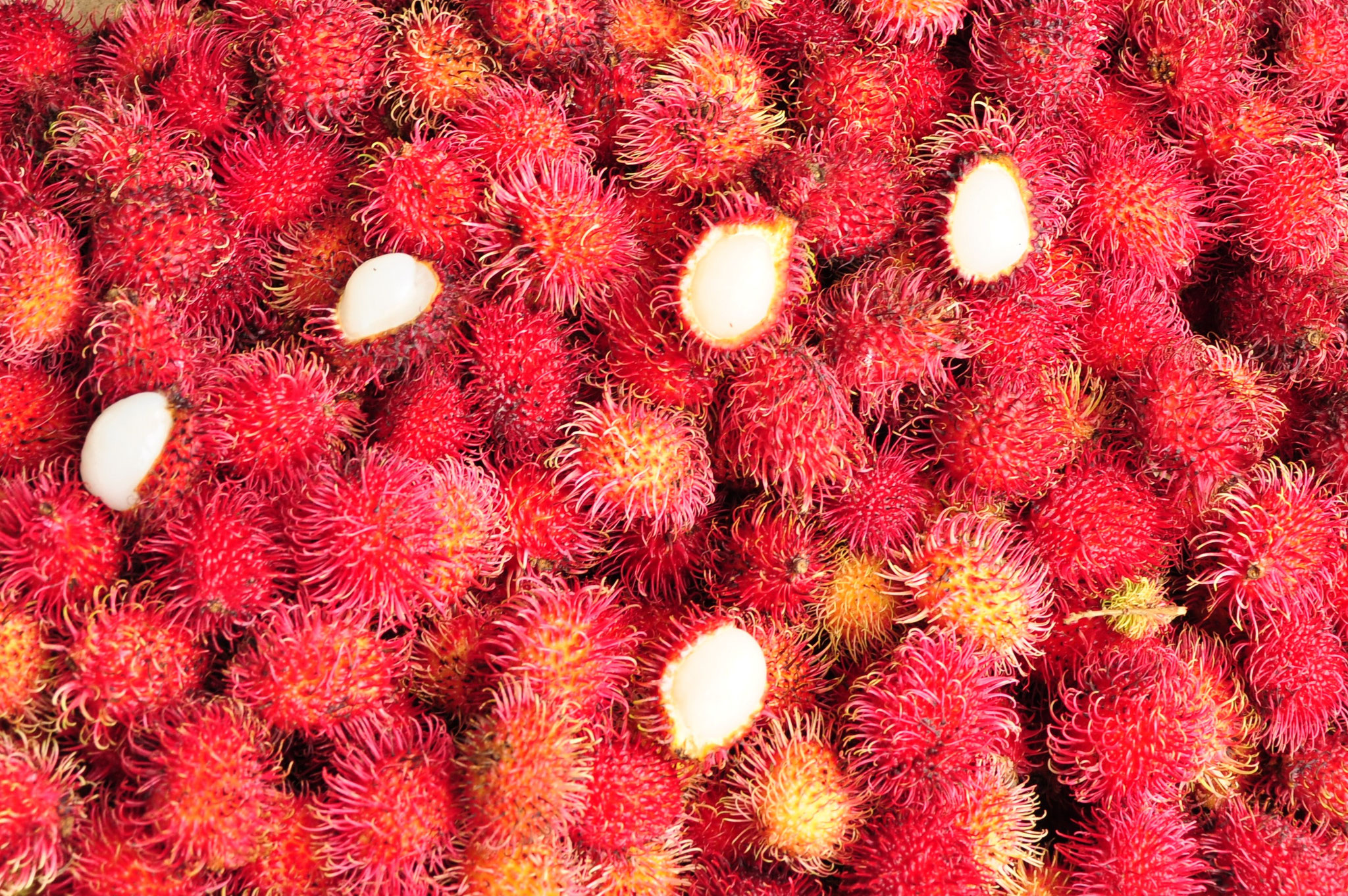 Fruits du ramboutan