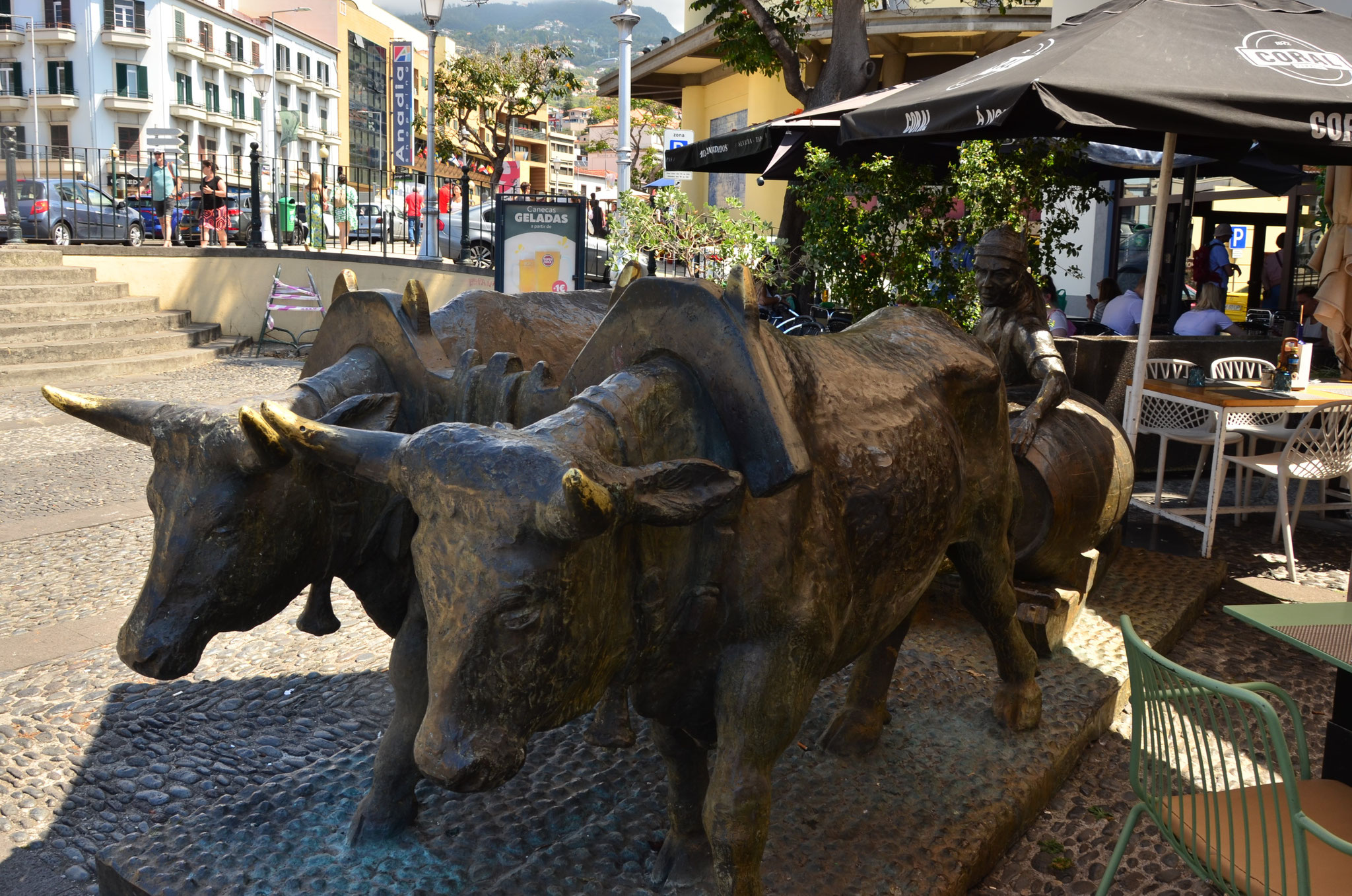 Bœufs tirant un chariot, rue Santa Maria, Funchal, Madère