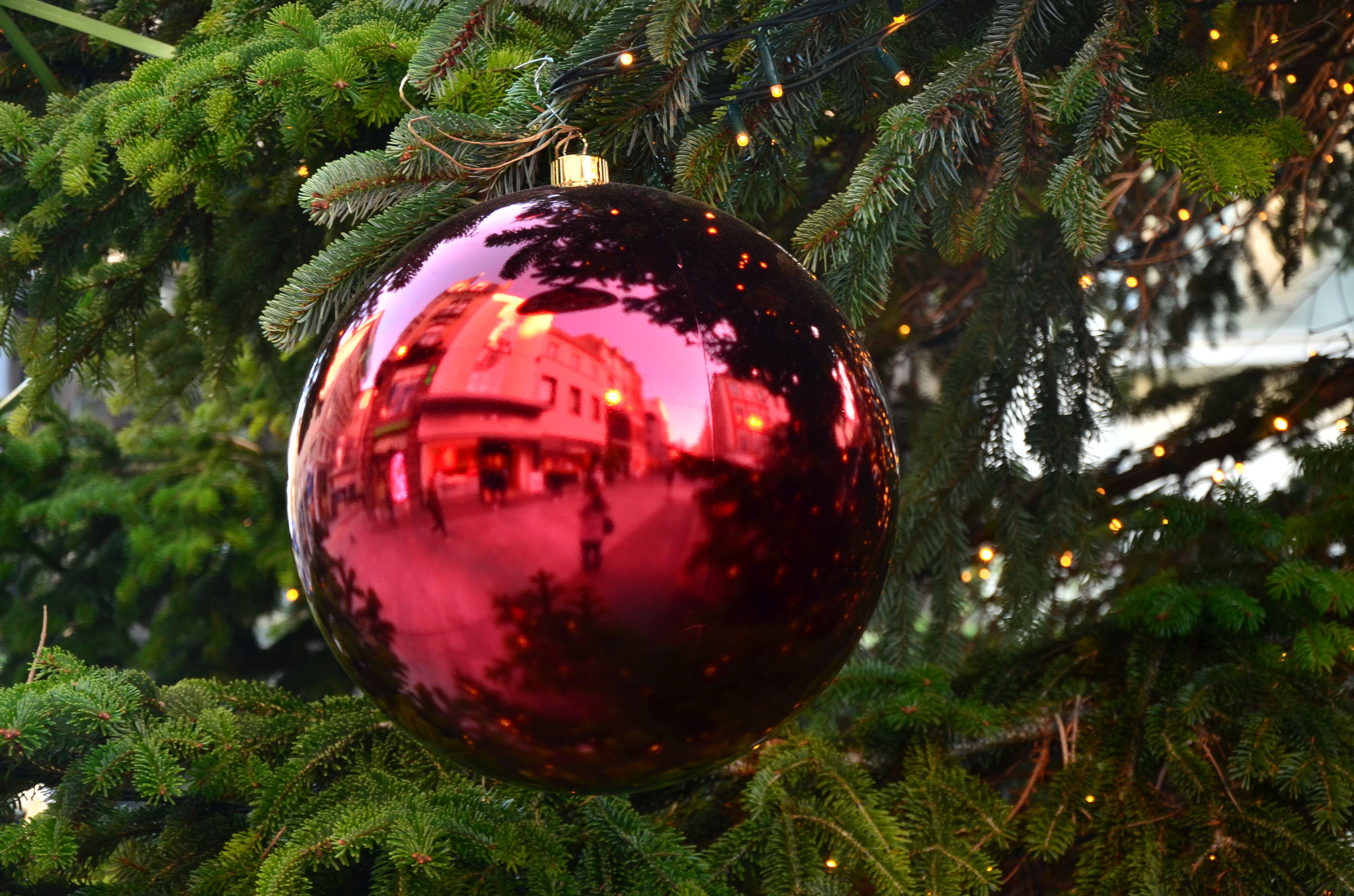 Reflets dans une boule de Noël