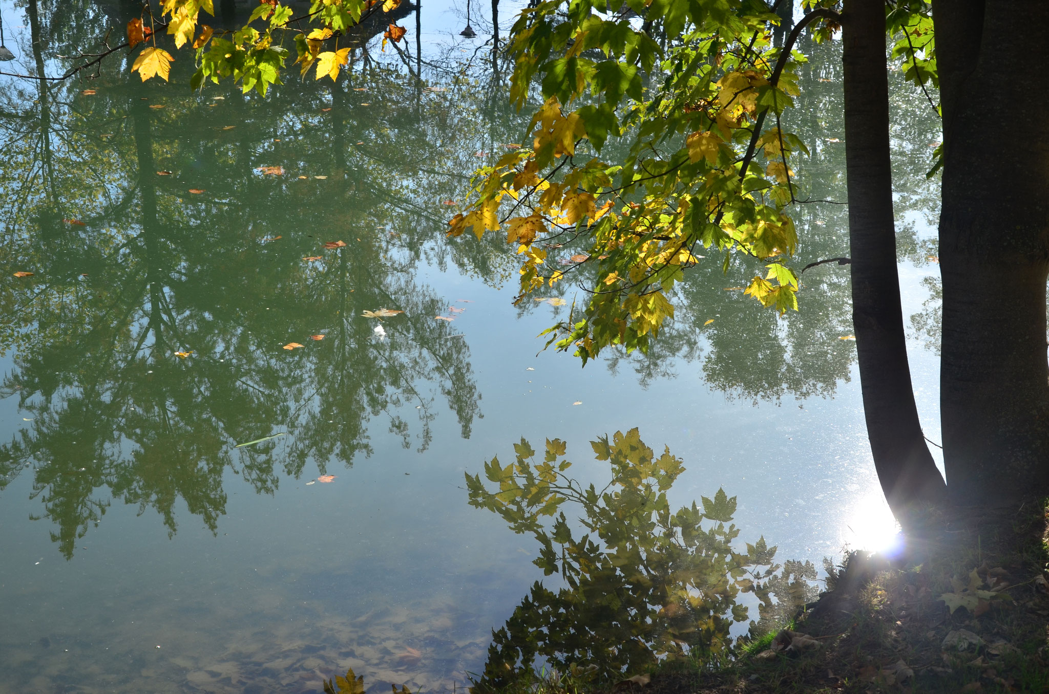 Reflets dans l'eau ensoleillée