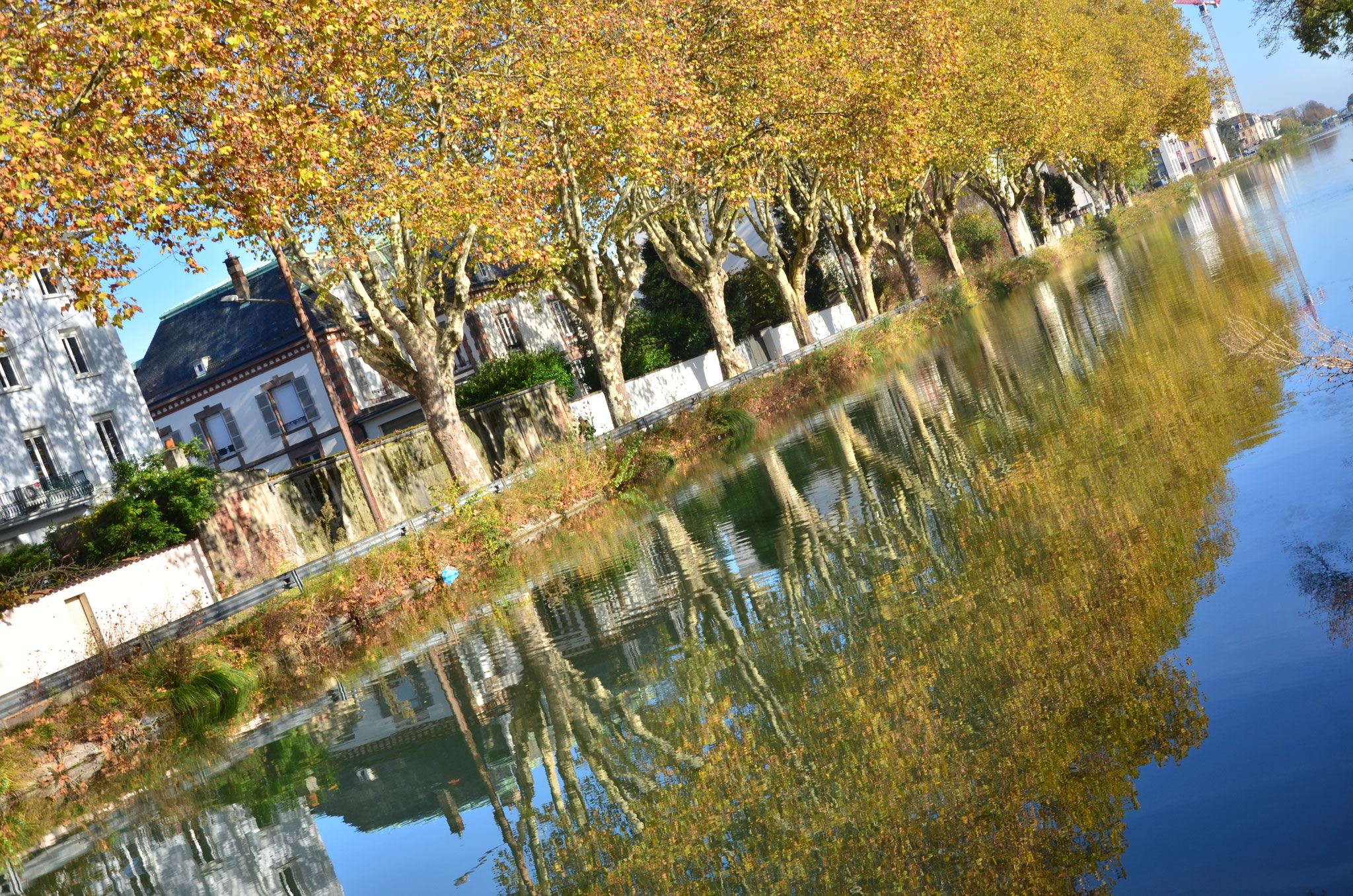 Canal du Rhône au Rhin et son reflet