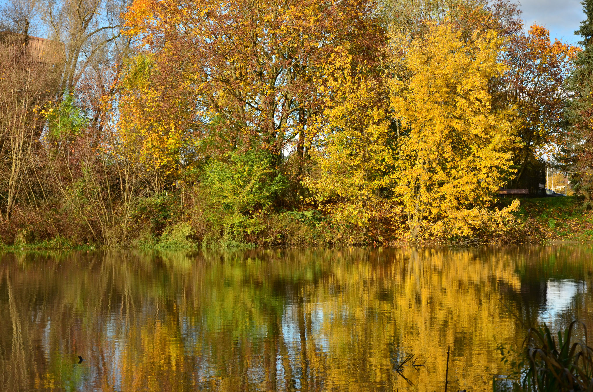 Reflets d'automne