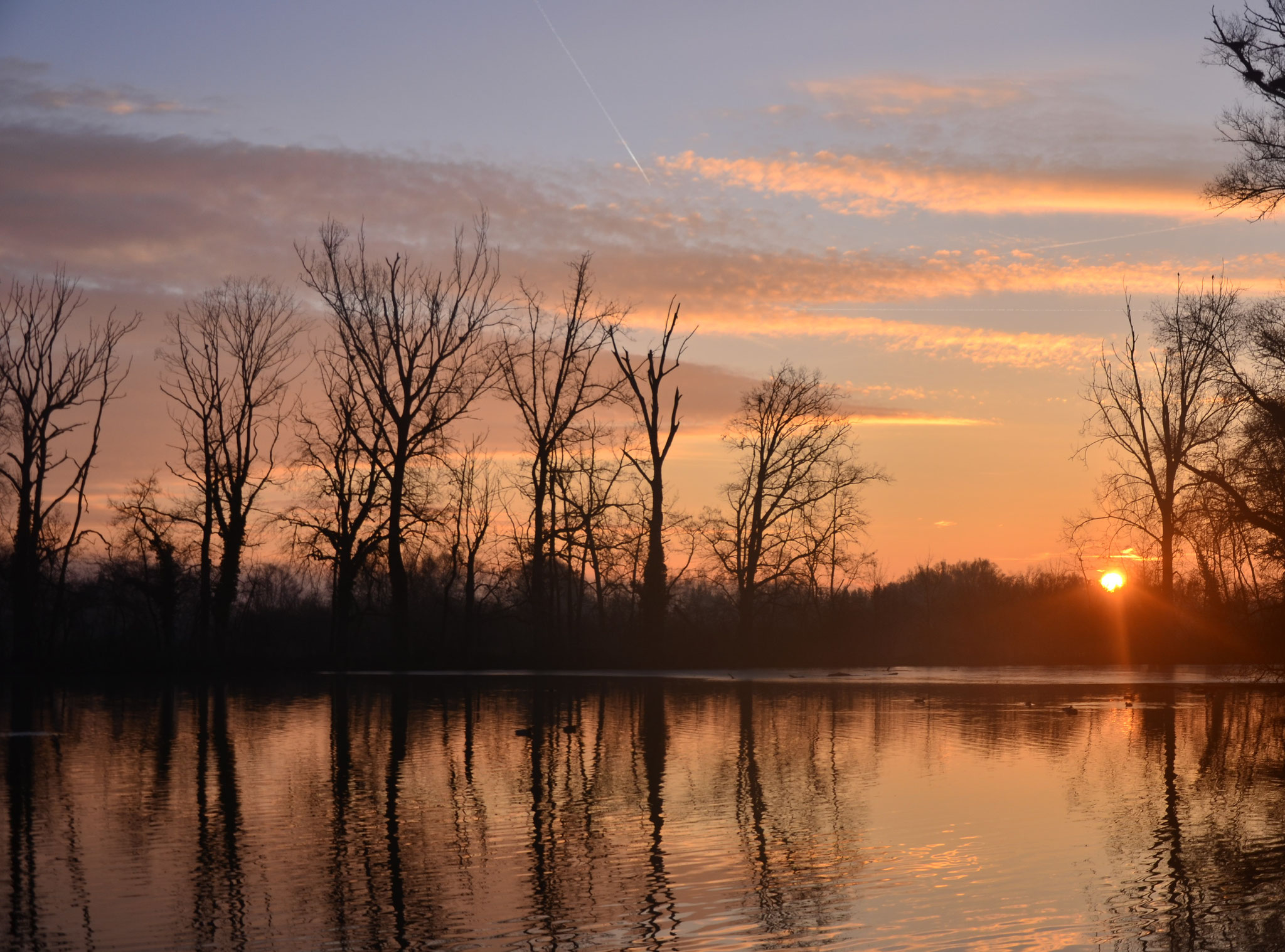 Soleil levant sur l'étang (Petite Camargue alsacienne, Haut-Rhin)  Décembre 2016