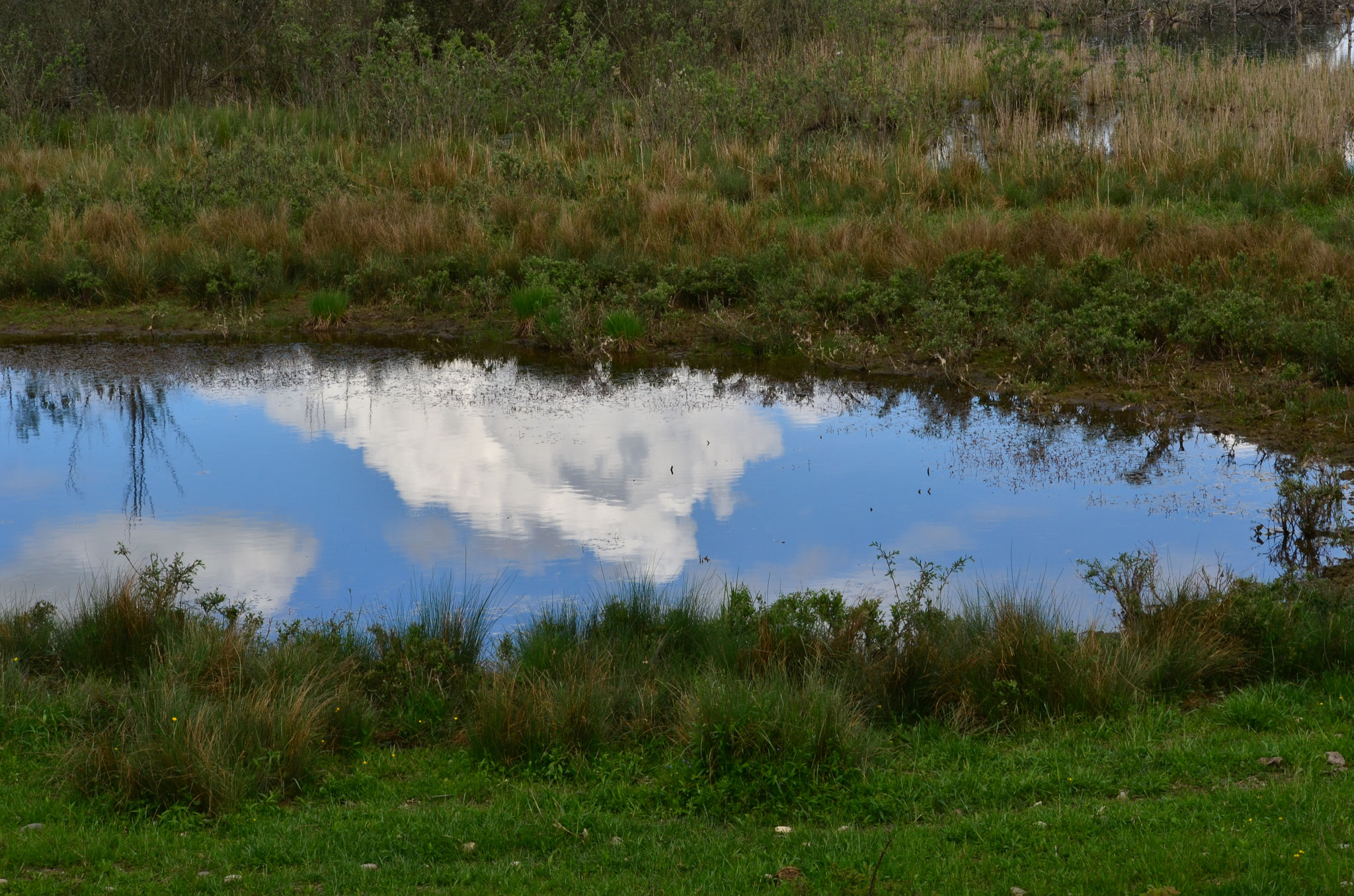 Mare reflétant le ciel