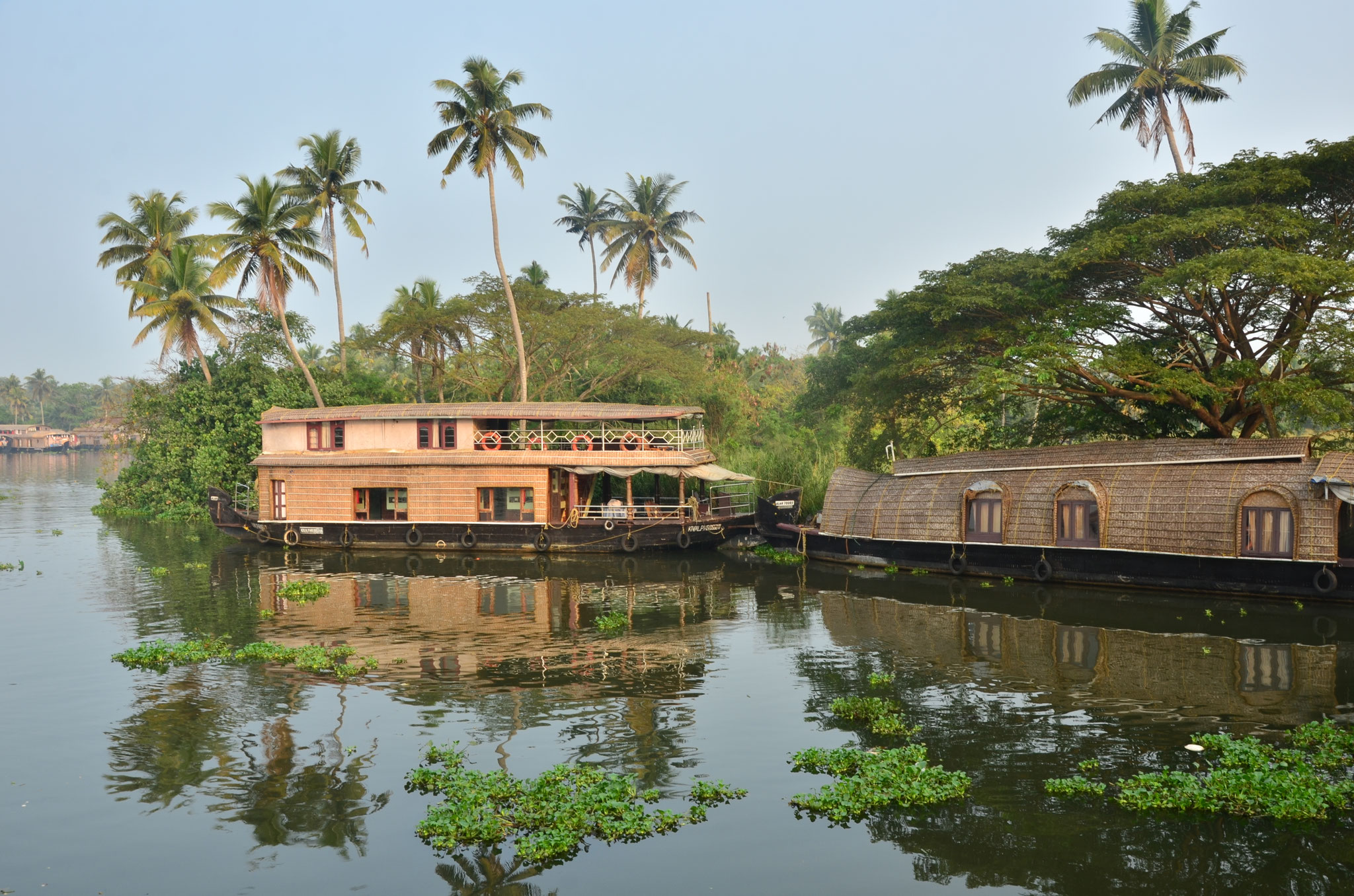 Backwaters du Kerala (Inde du sud)