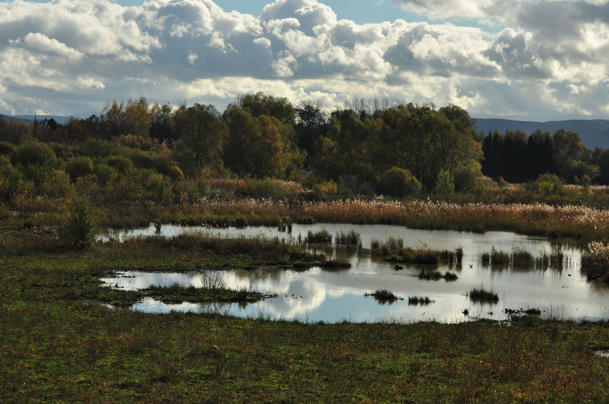 Ciel reflété dans un étang